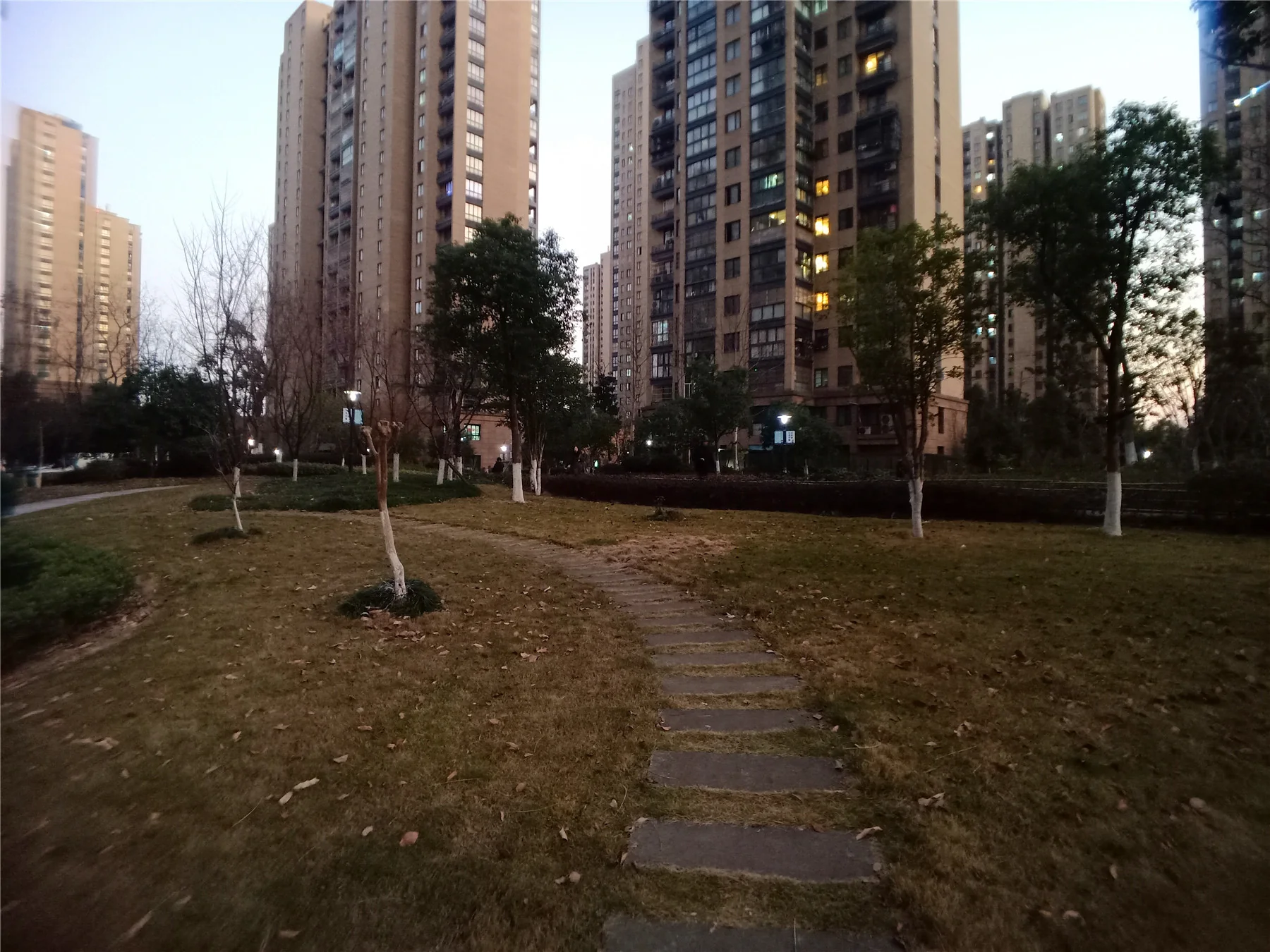 JX Peach Garden - Photo 8