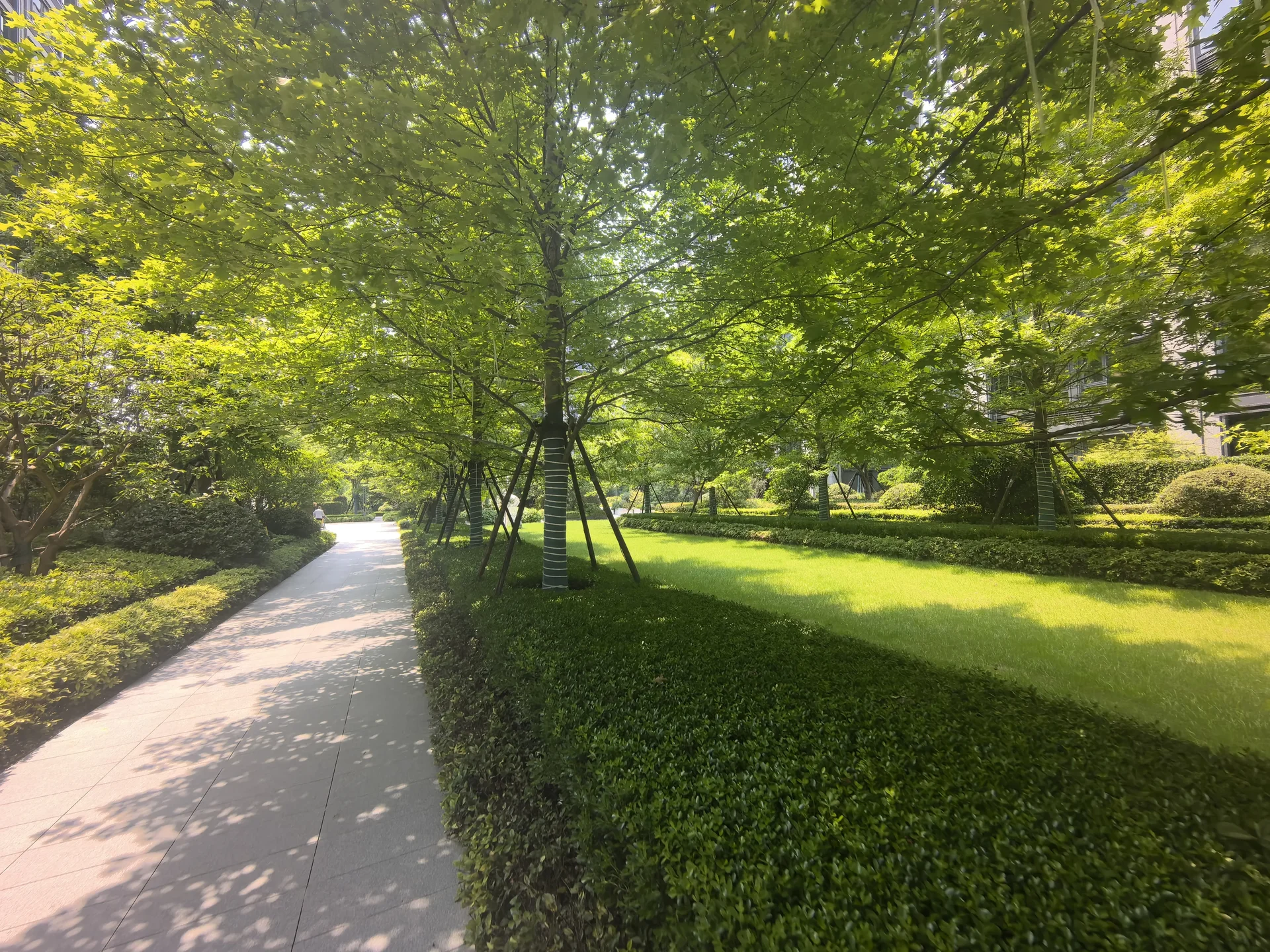 Orient Spring - Photo 5