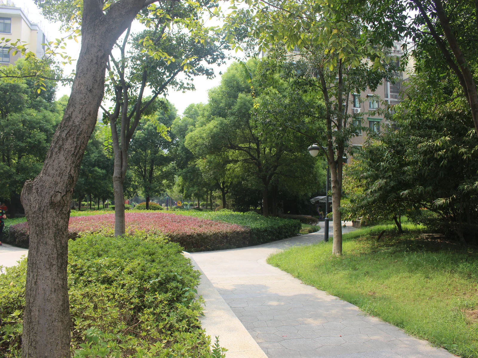 Harmony Garden - Photo 20