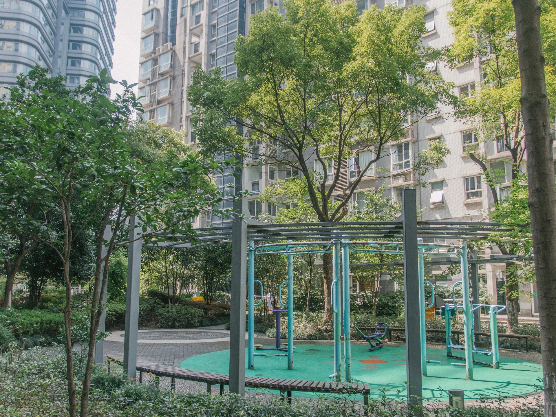 Modern  Garden - Photo 20