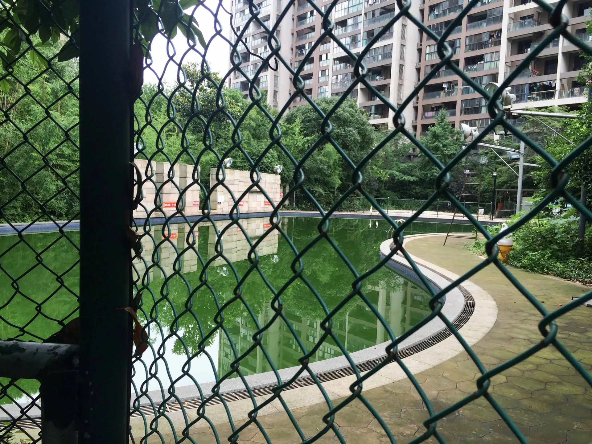 Xinsheng Oriental Eparchy - Photo 13