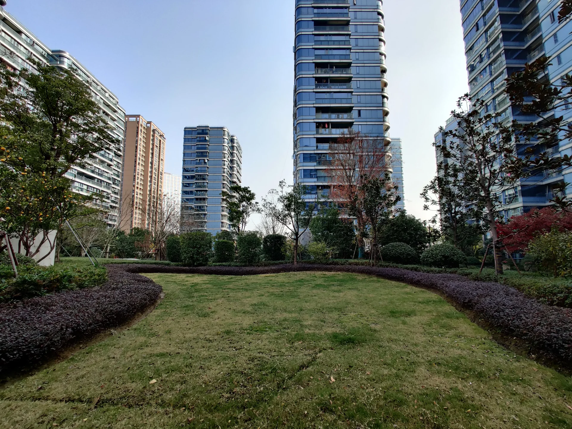 Blue Peacock - Photo 8