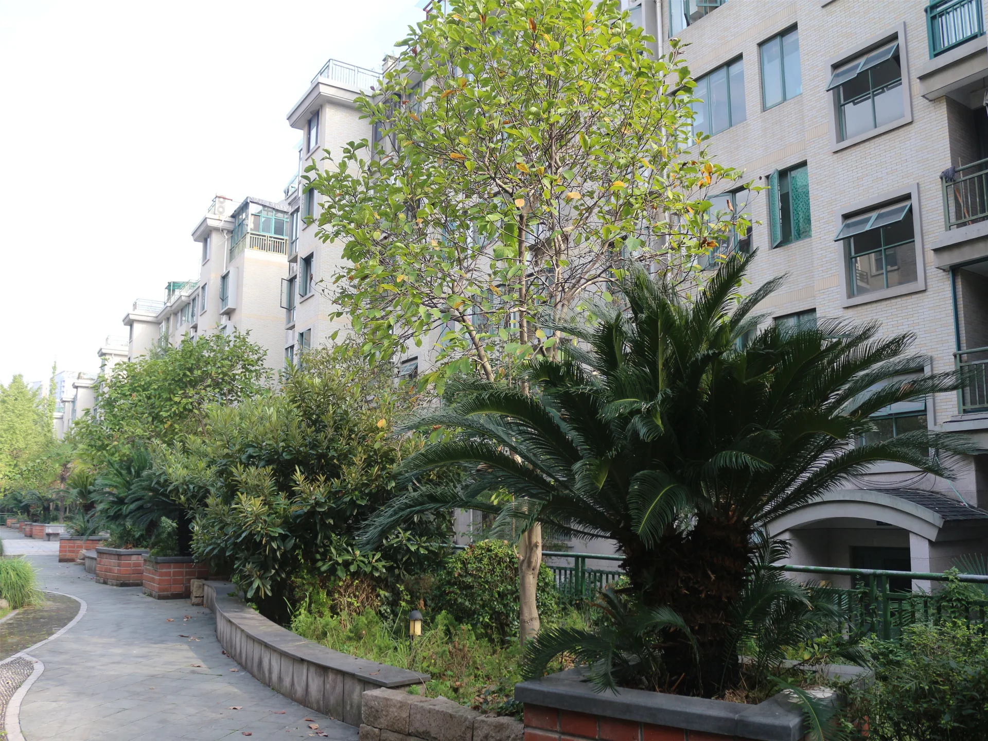 Guoxin Joy Garden - Photo 6