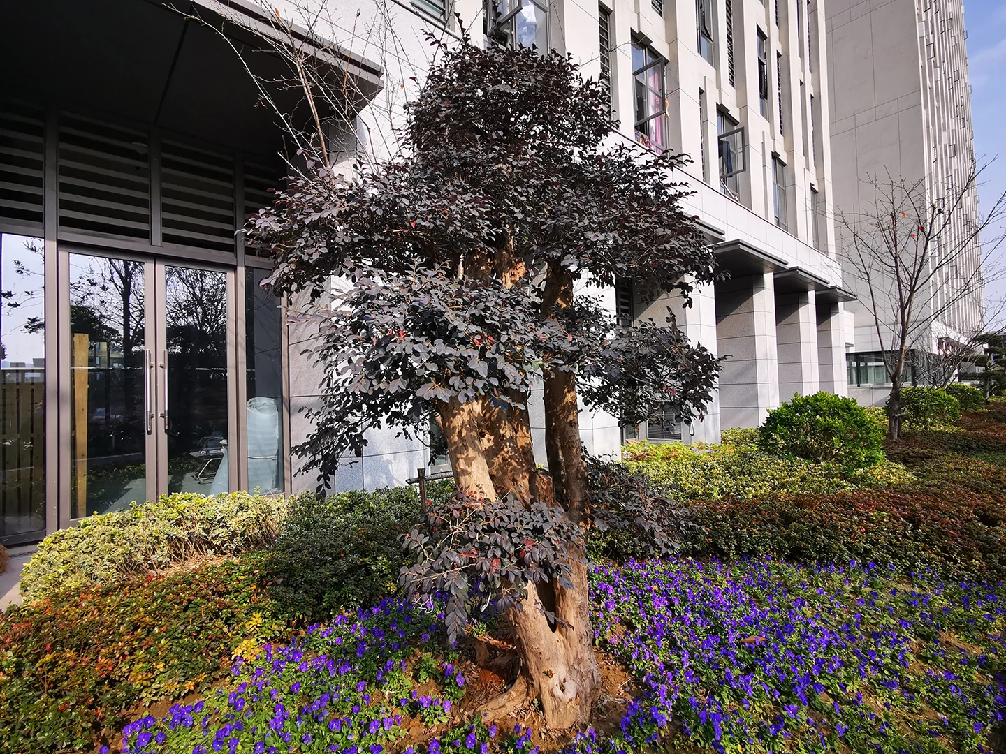 Yonghe Star - Photo 7