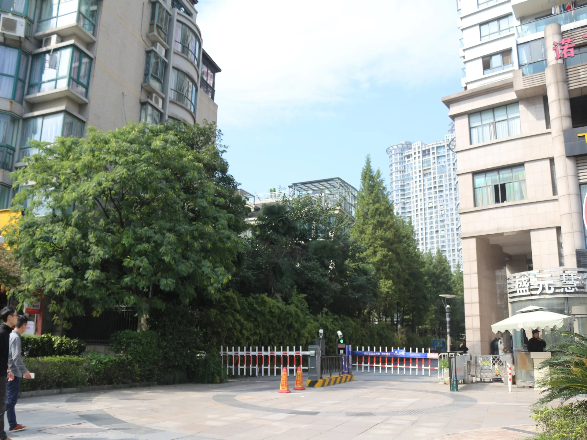 Wisdom World - Photo 20