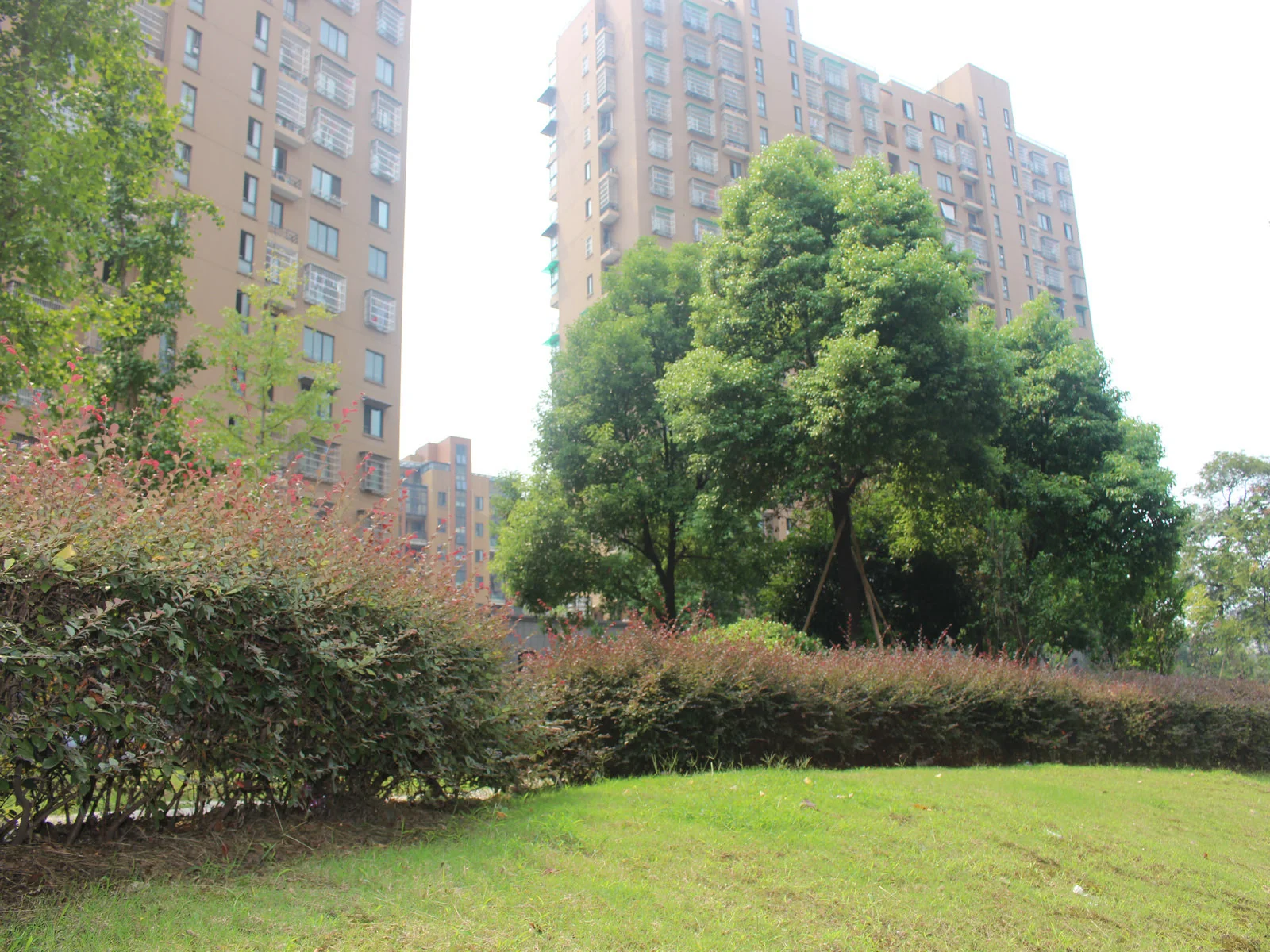 Fangjia Garden - Photo 21