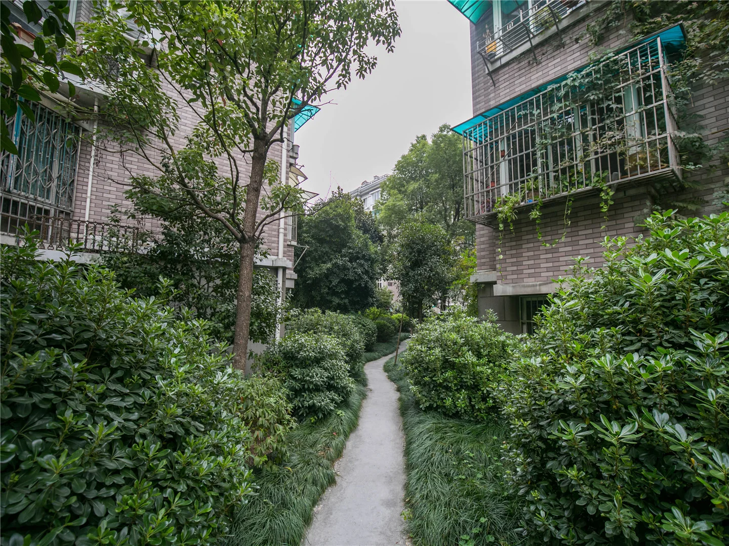 Lotus Court - Photo 6