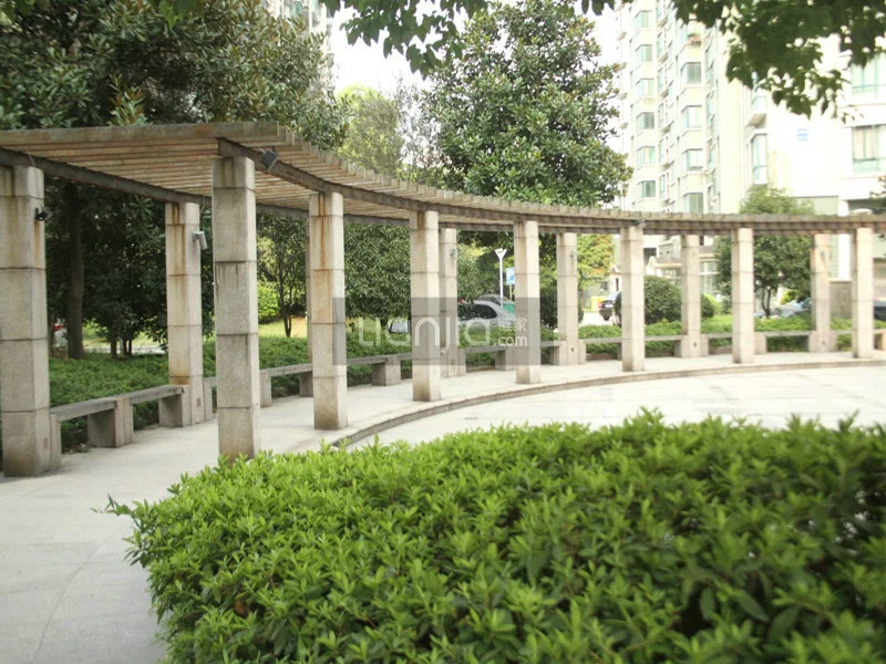 Zhong Xin Garden  - Photo 14