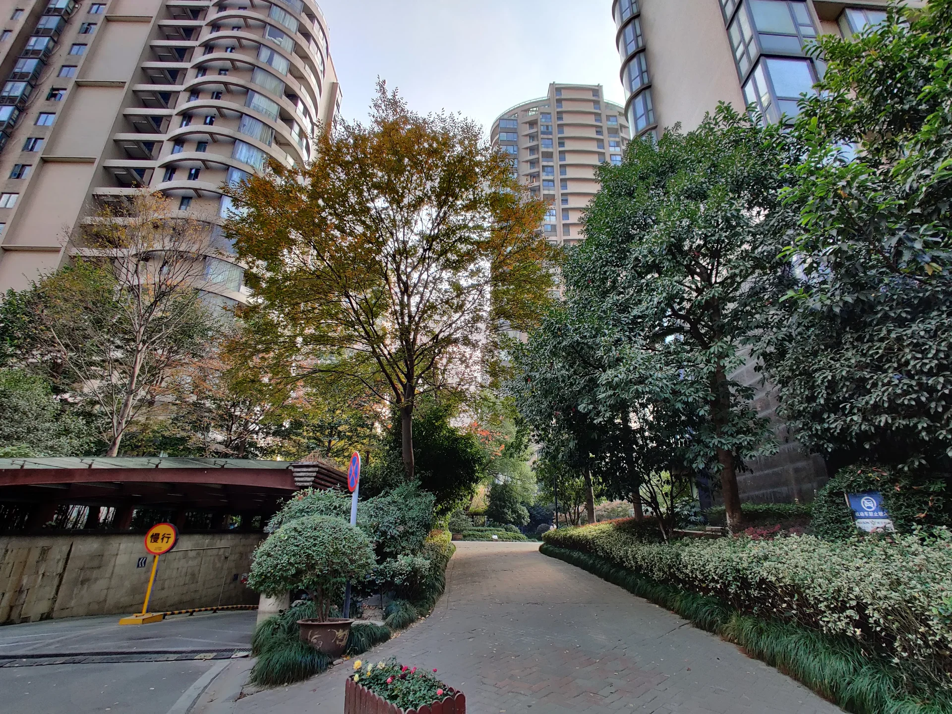 YJ Cultural Garden - Photo 24