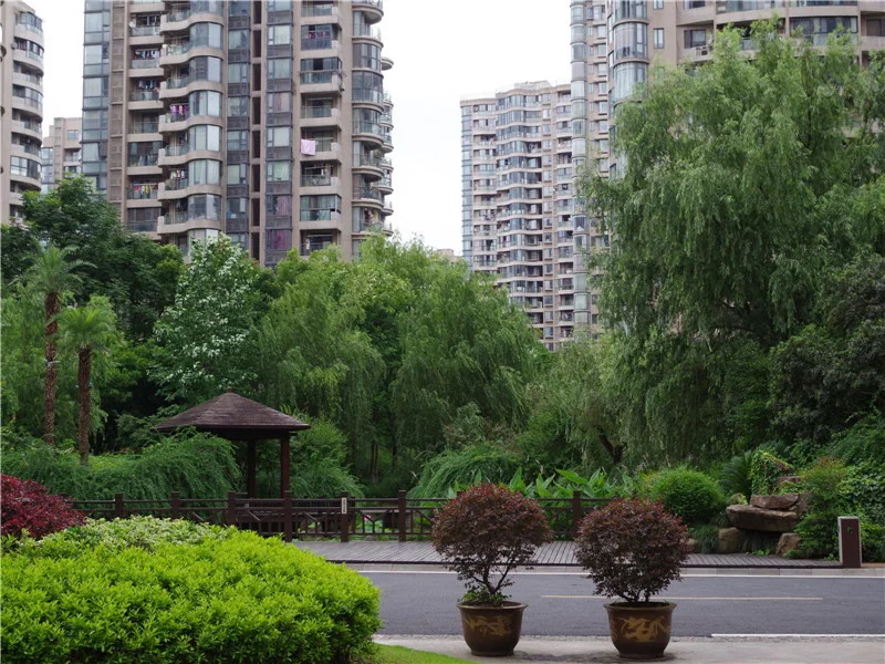 YJ Cultural Garden - Photo 36