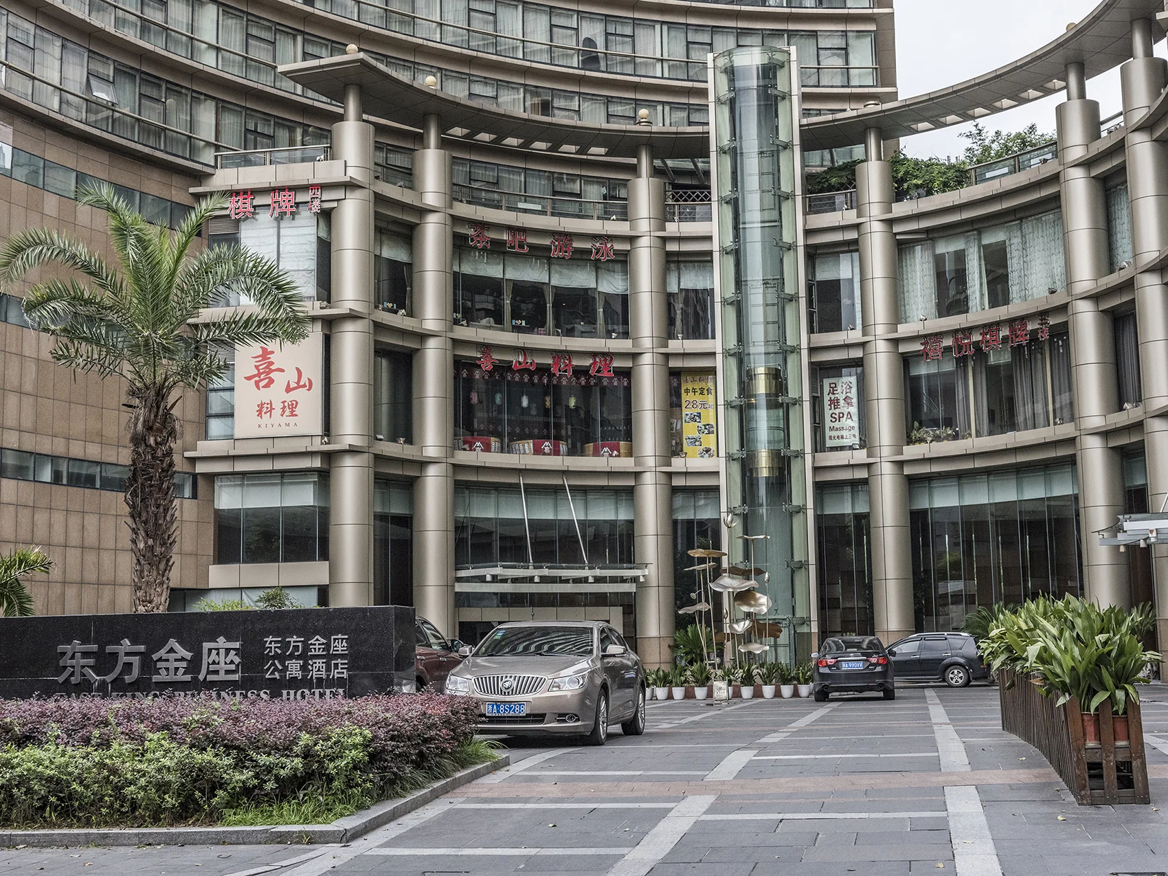 Oriental Golden - Photo 16