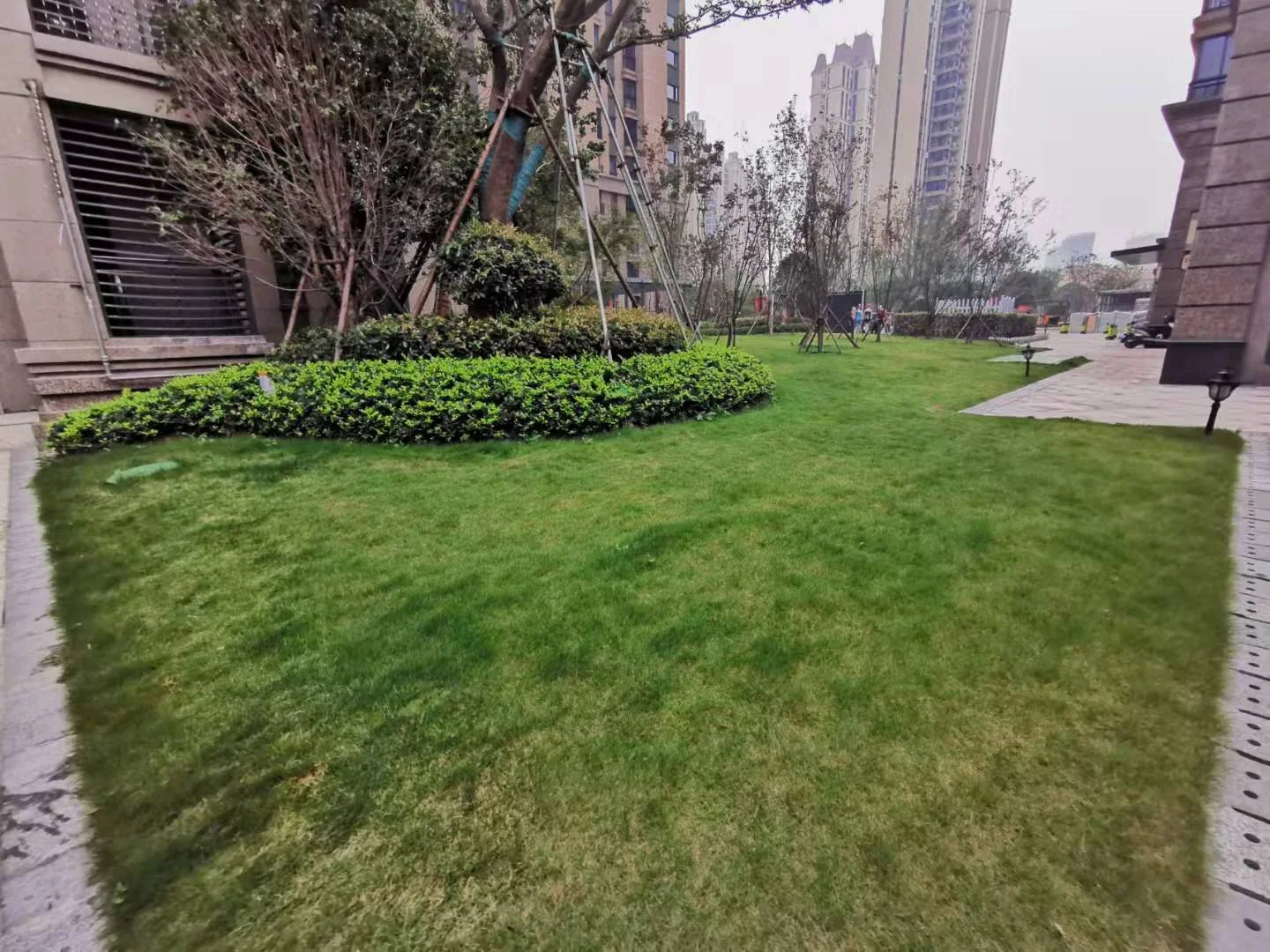 Crystal International Plaza - Photo 11