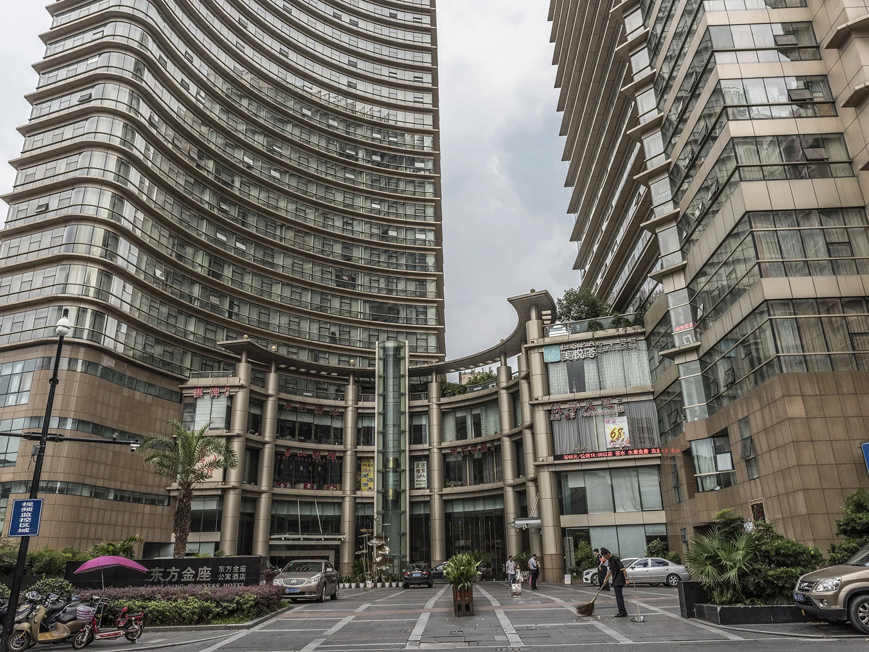 Oriental Golden - Photo 8