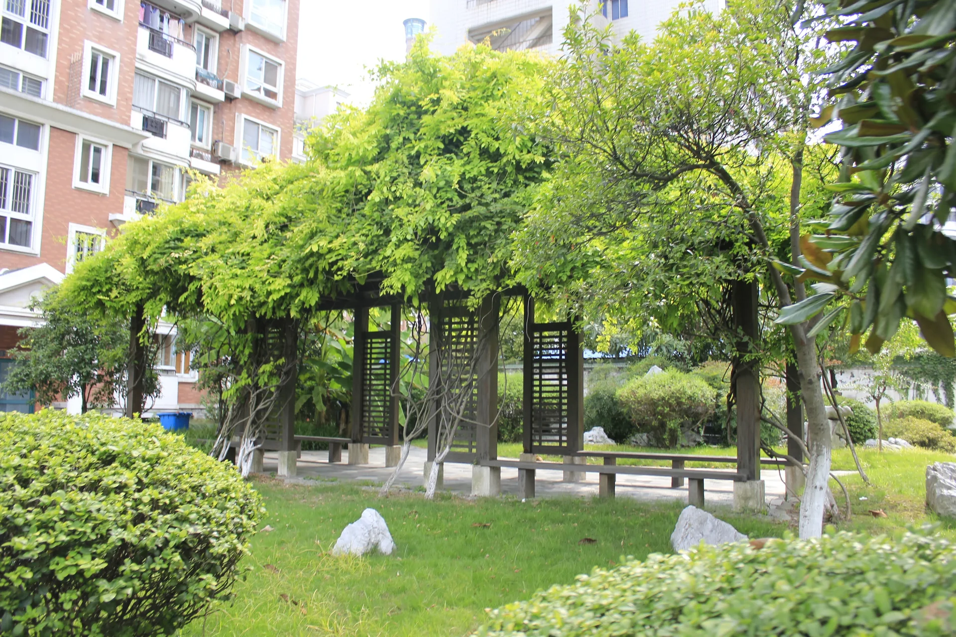 Lvzhou Gardon - Photo 32