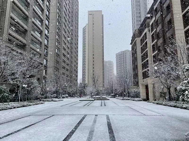 Shore Haven Manor - Photo 28