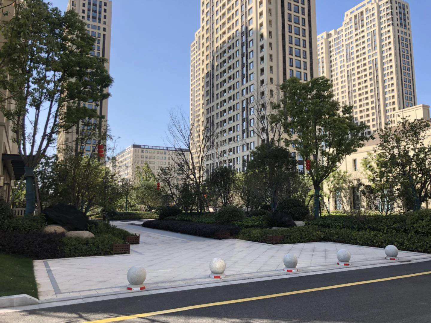 Golden Dawn Light - Photo 11