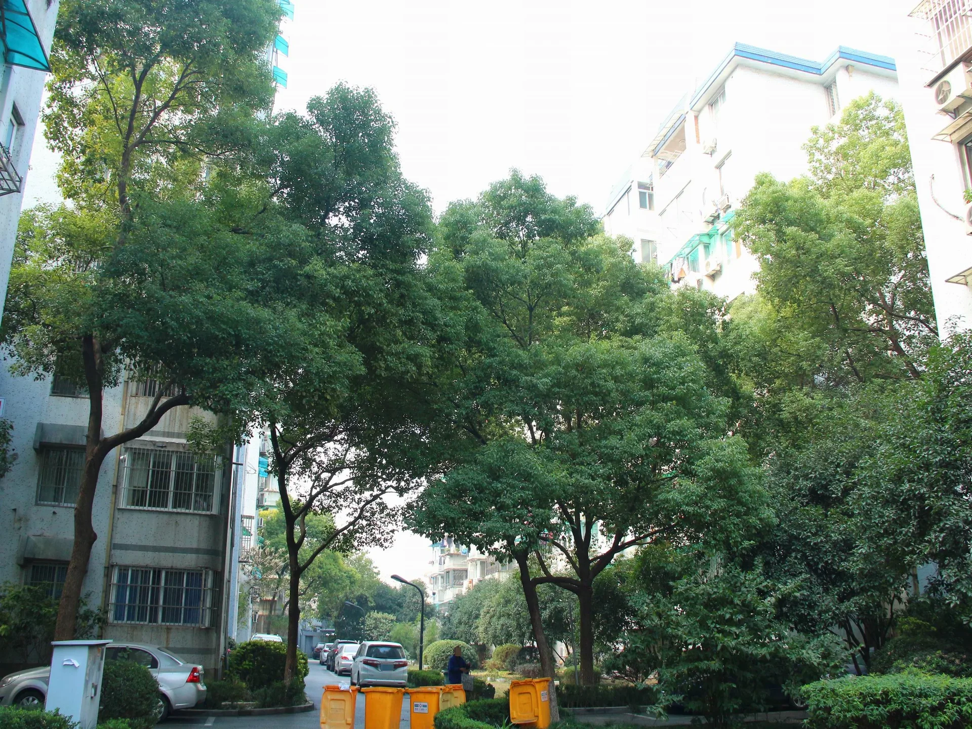 Nandu Garden - Photo 49