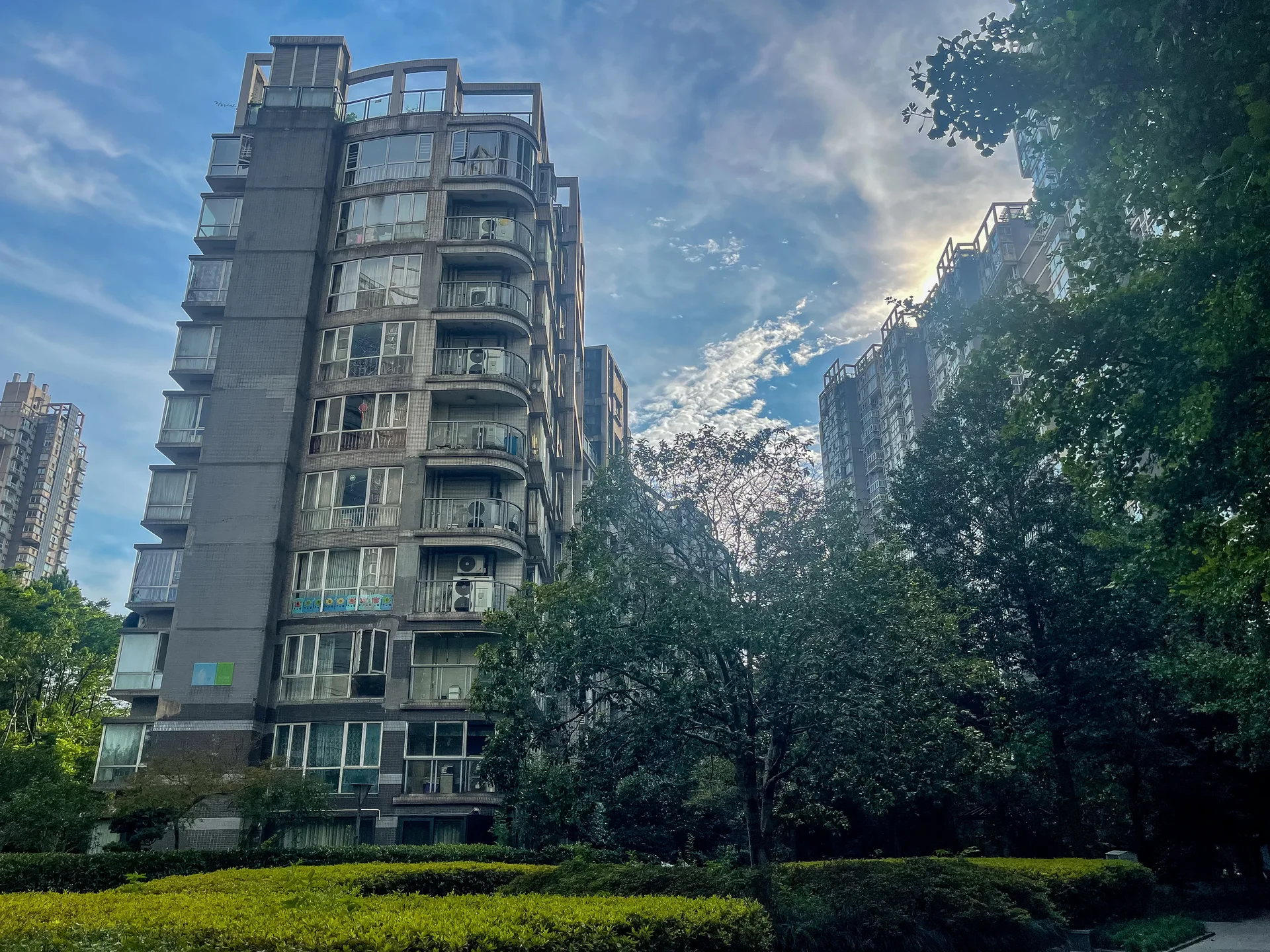 Modern  Garden - Photo 8