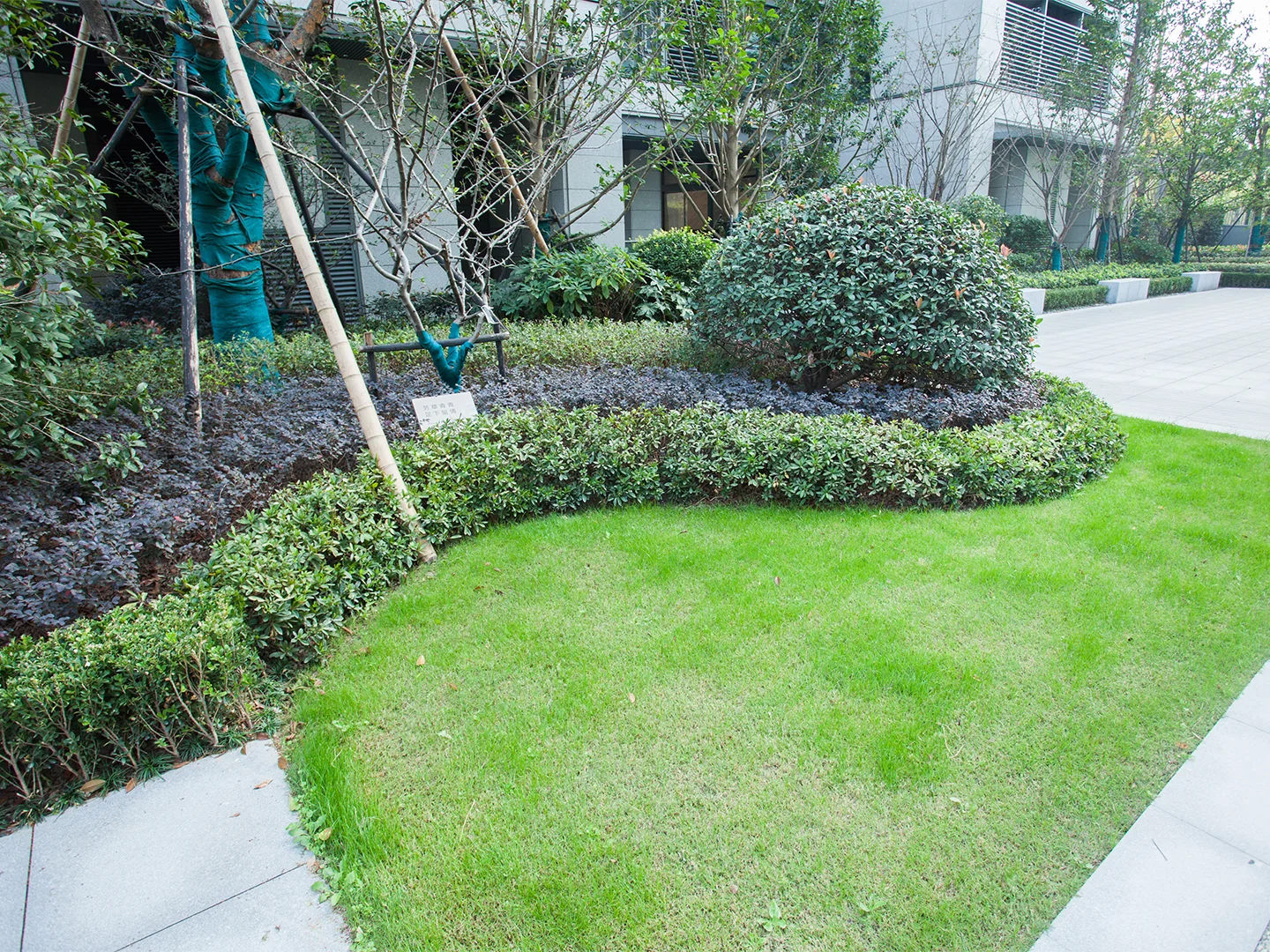 Greentown Liu Xiang Yuan - Photo 13