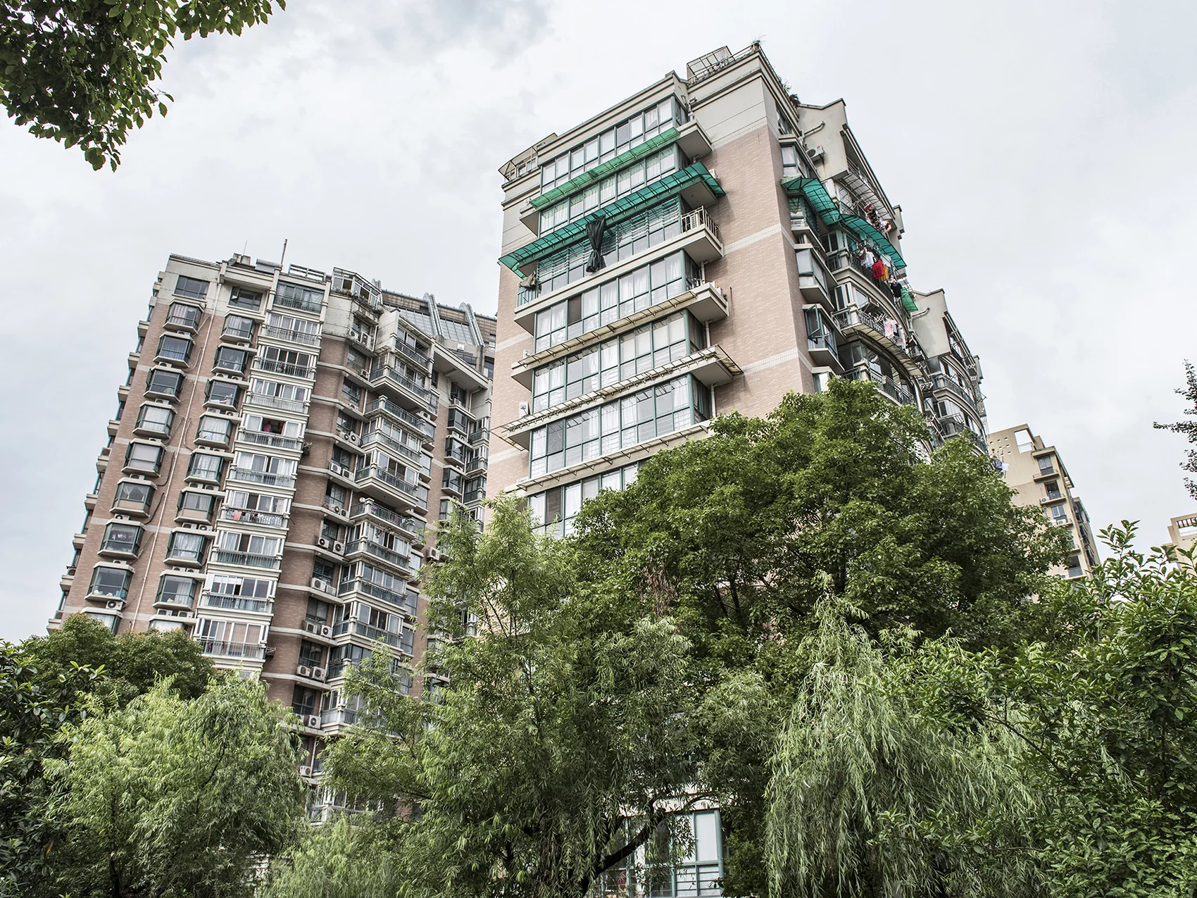 Xinfeng Garden - Photo 8