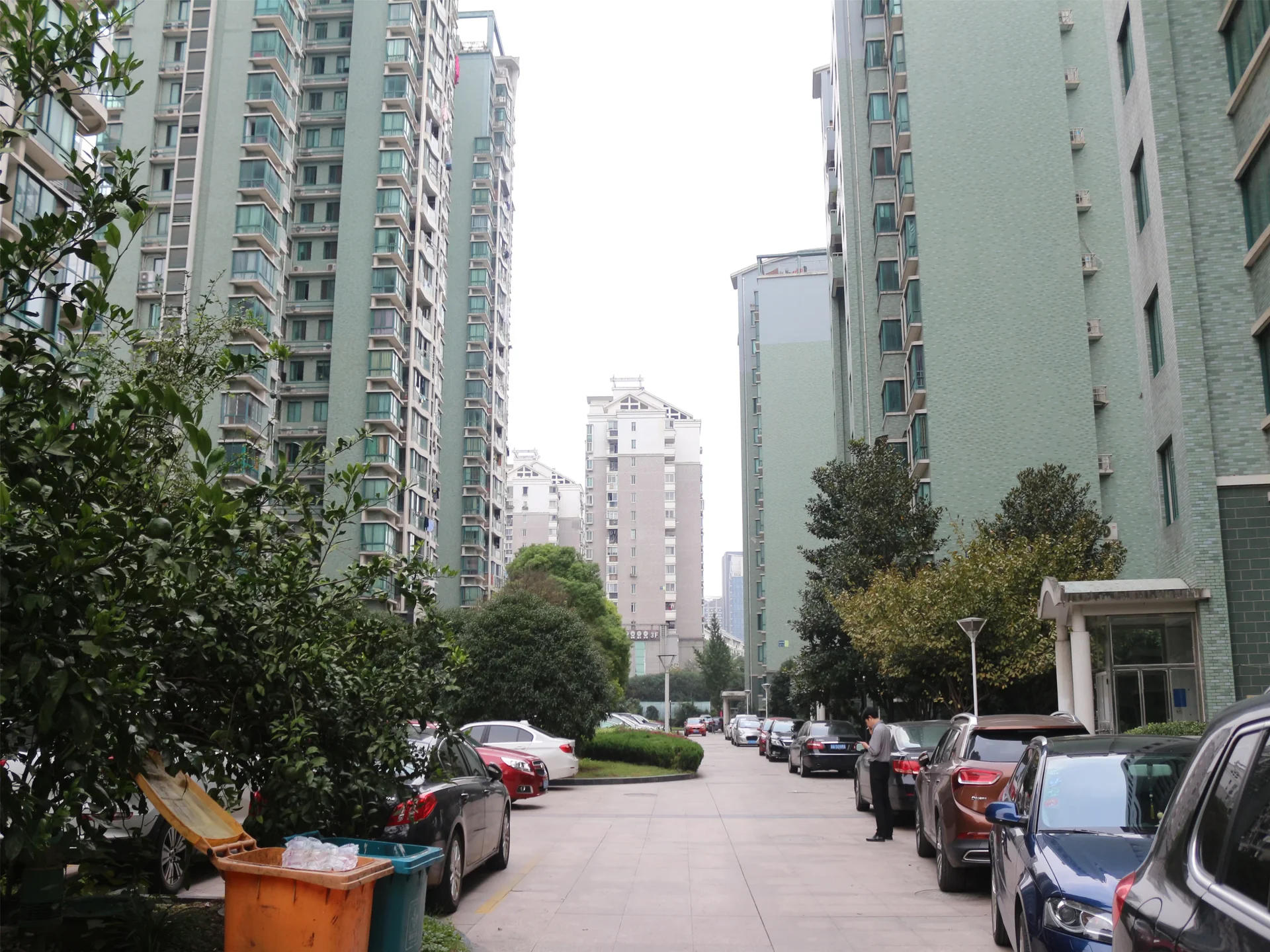 Zhong Xin Garden  - Photo 3