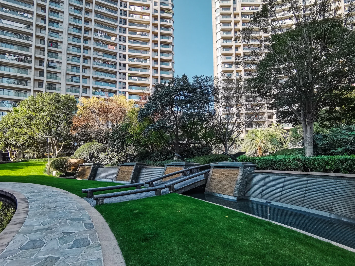 The Dreamland - Photo 12