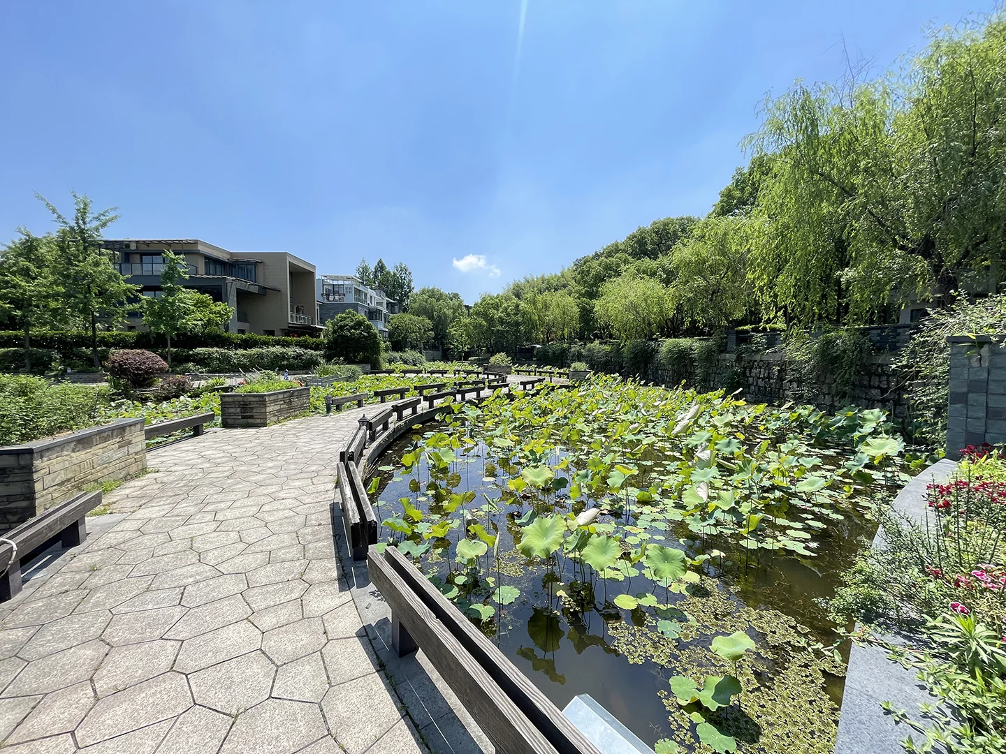 South Bank - Photo 20