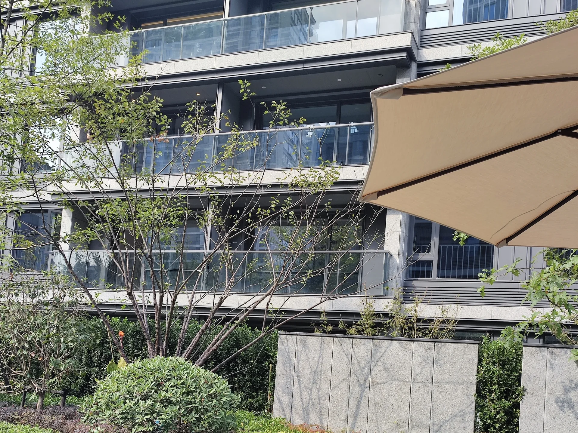 Osmanthus & Wave - Photo 6