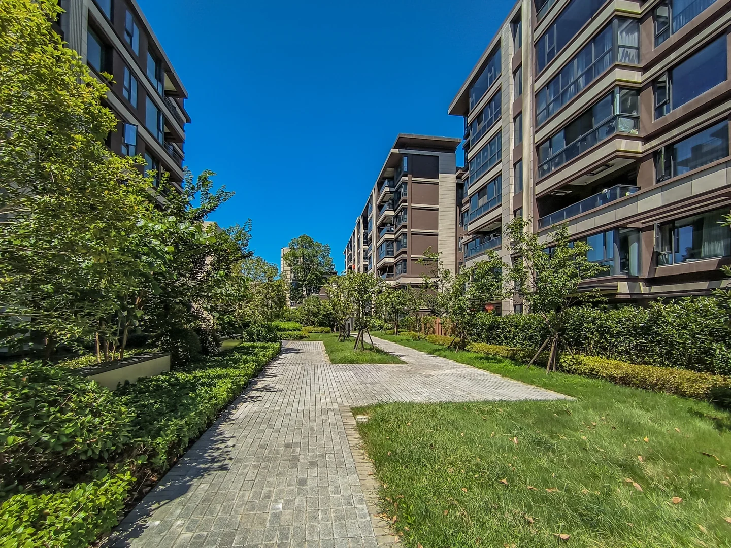 Star Future  - Photo 4