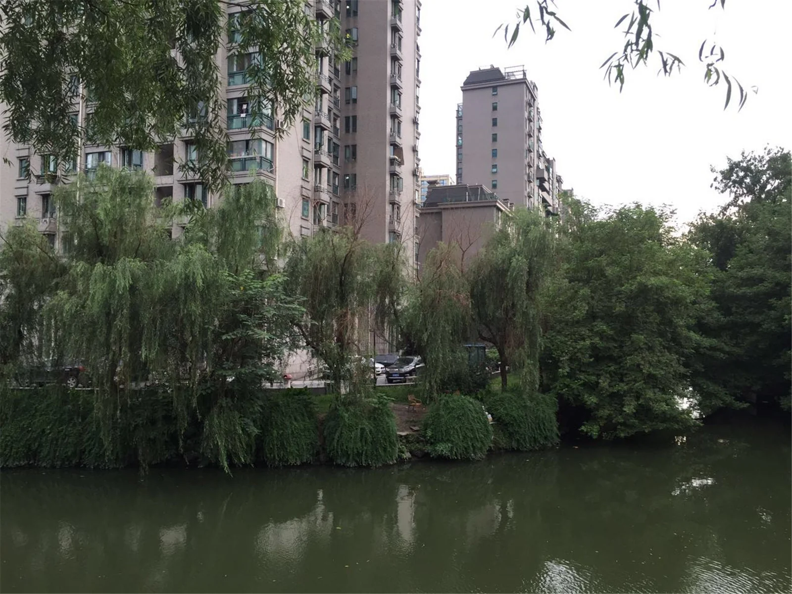 Qianshuiwan City Garden - Photo 44