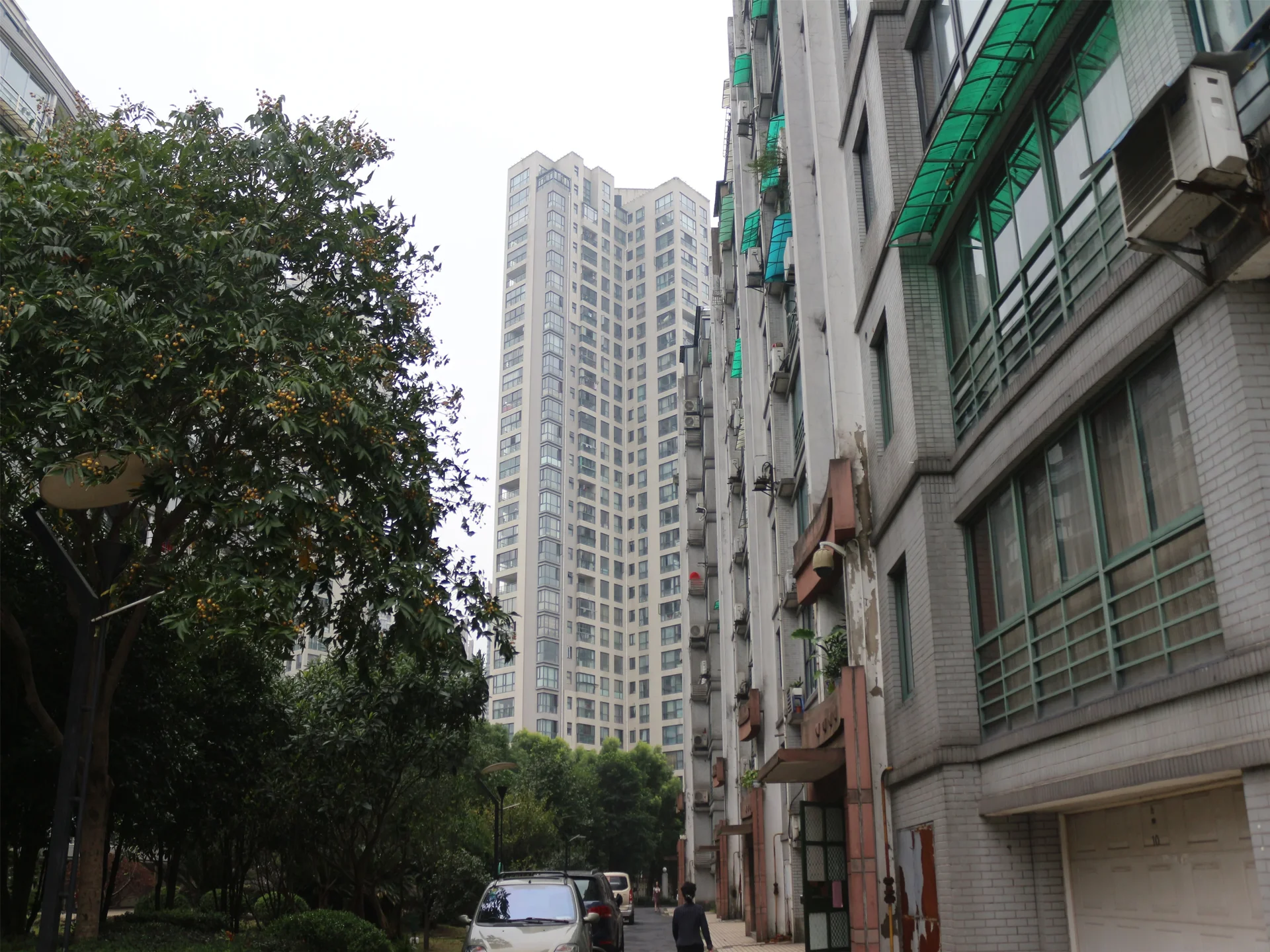 Zhijiang Garden - Photo 3