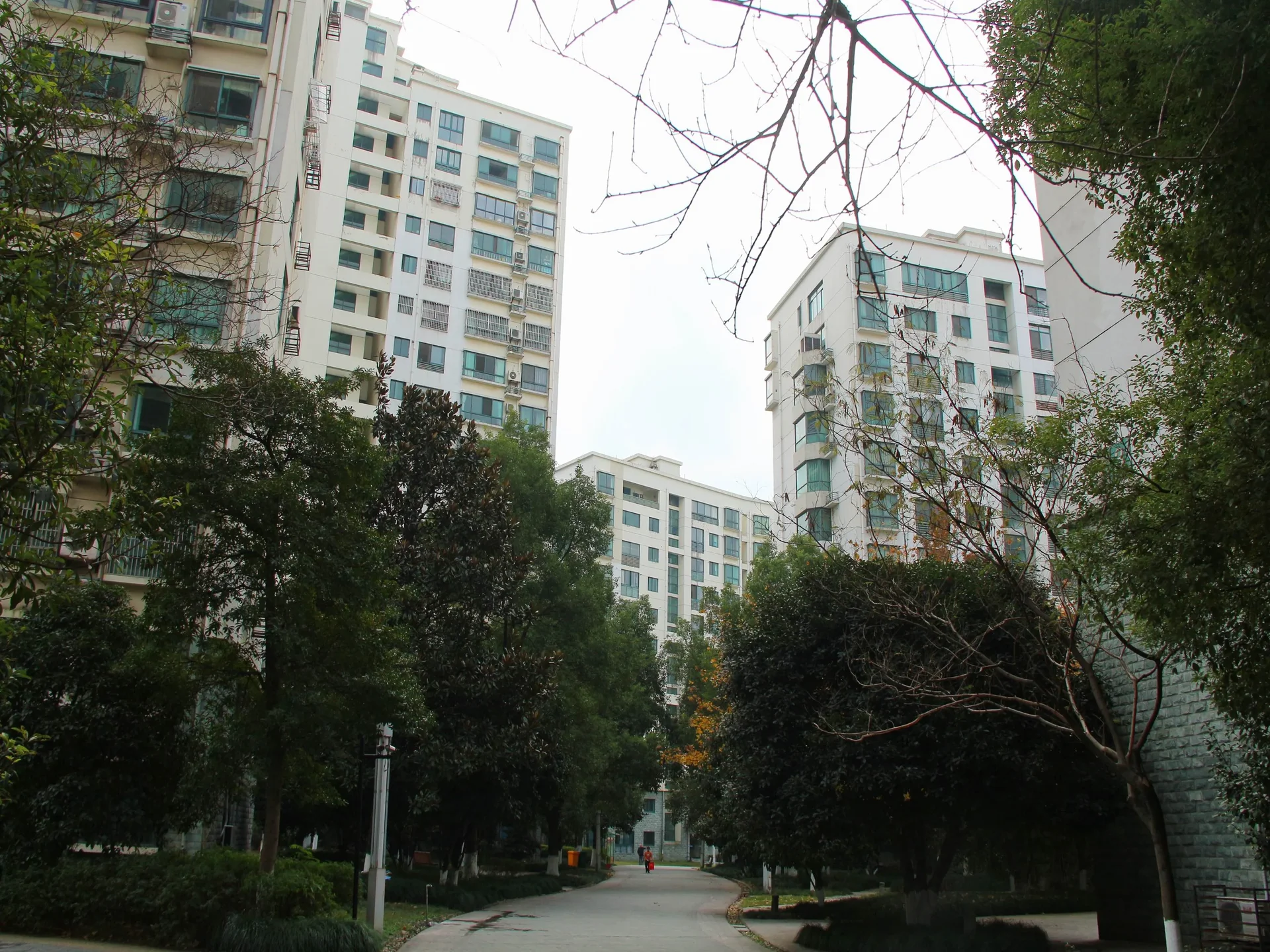 City Inner Peace - Photo 9