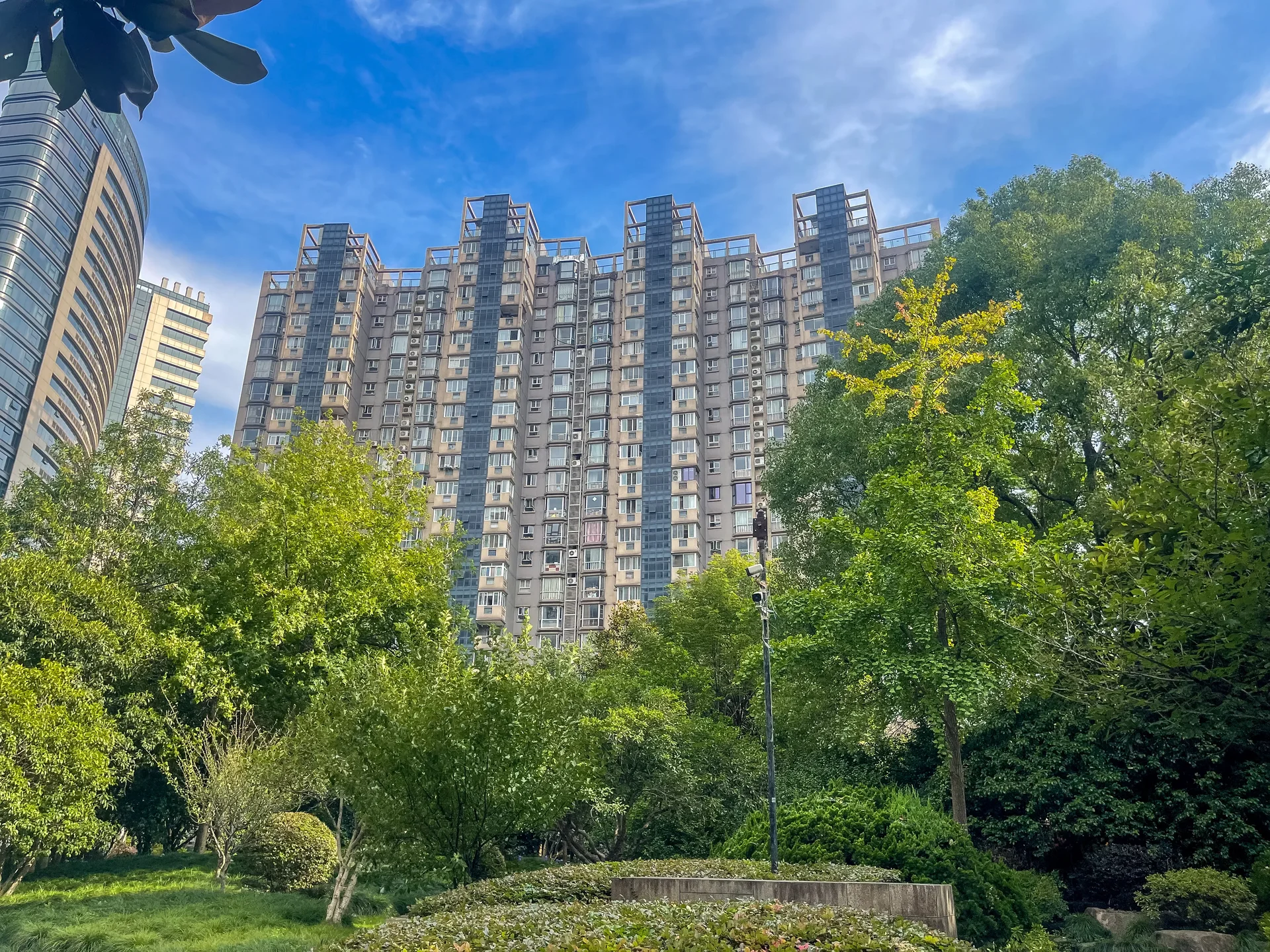 Modern  Garden - Photo 2