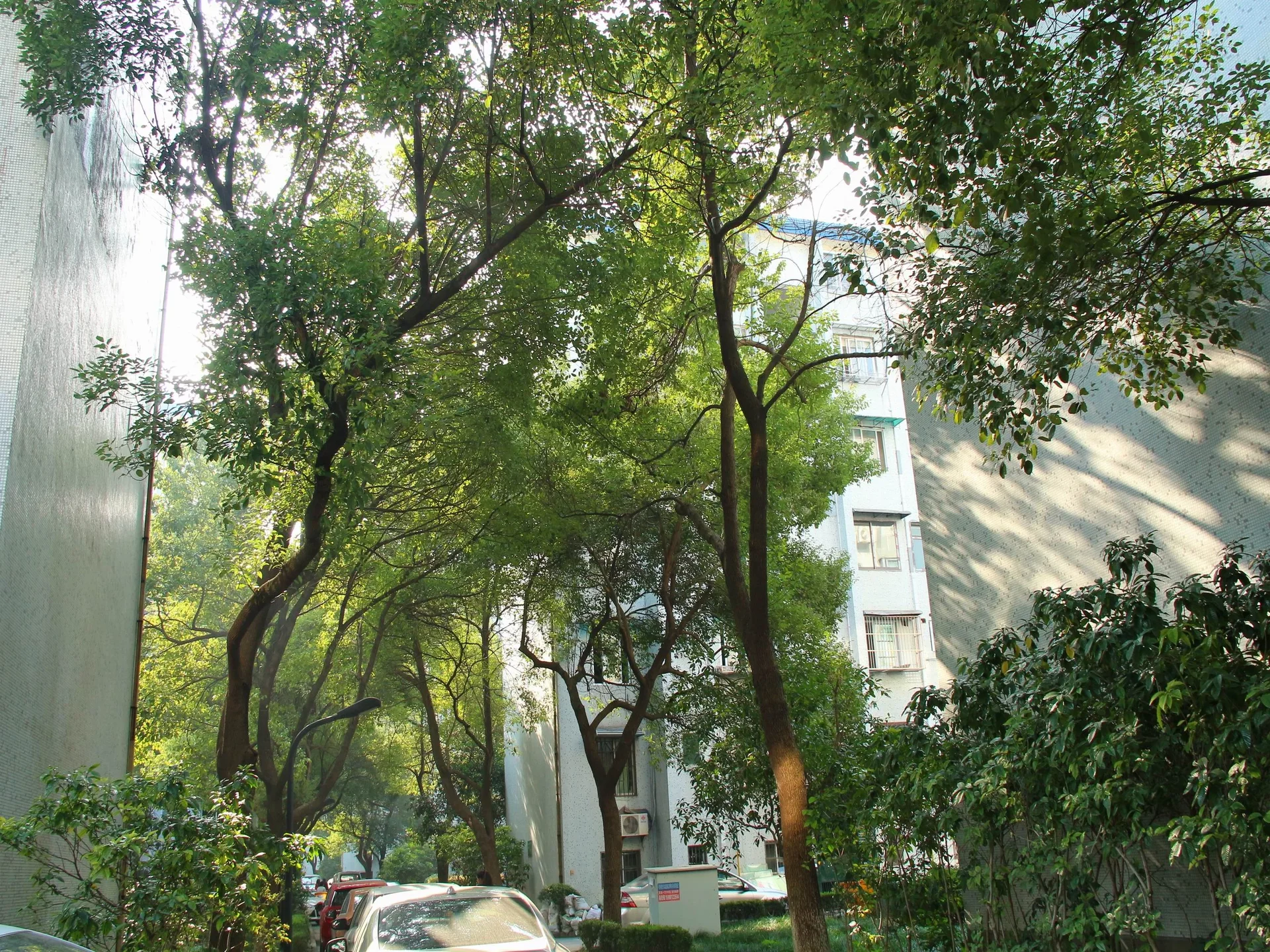 Nandu Garden - Photo 20