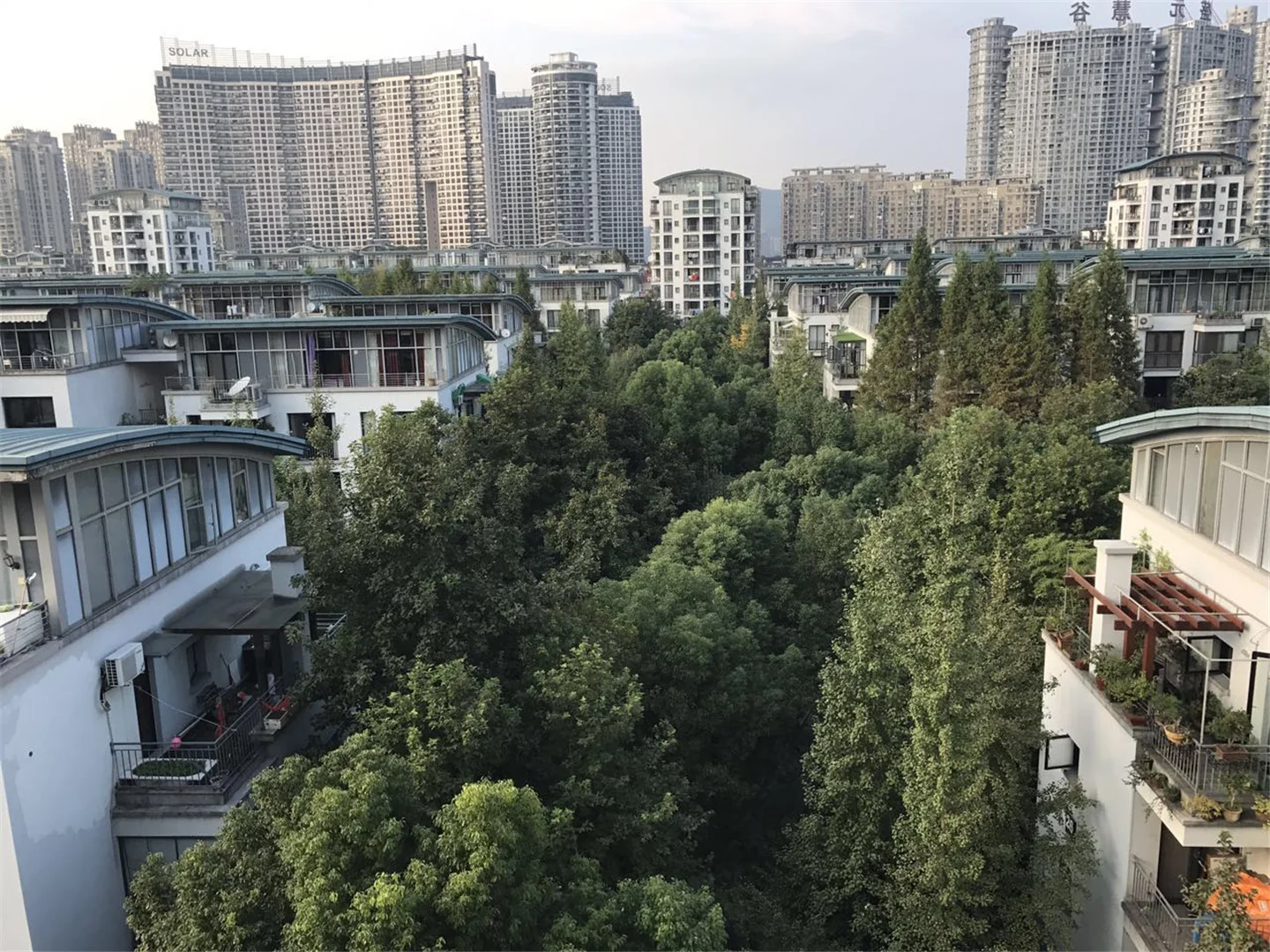 Jiangbin Garden - Photo 12