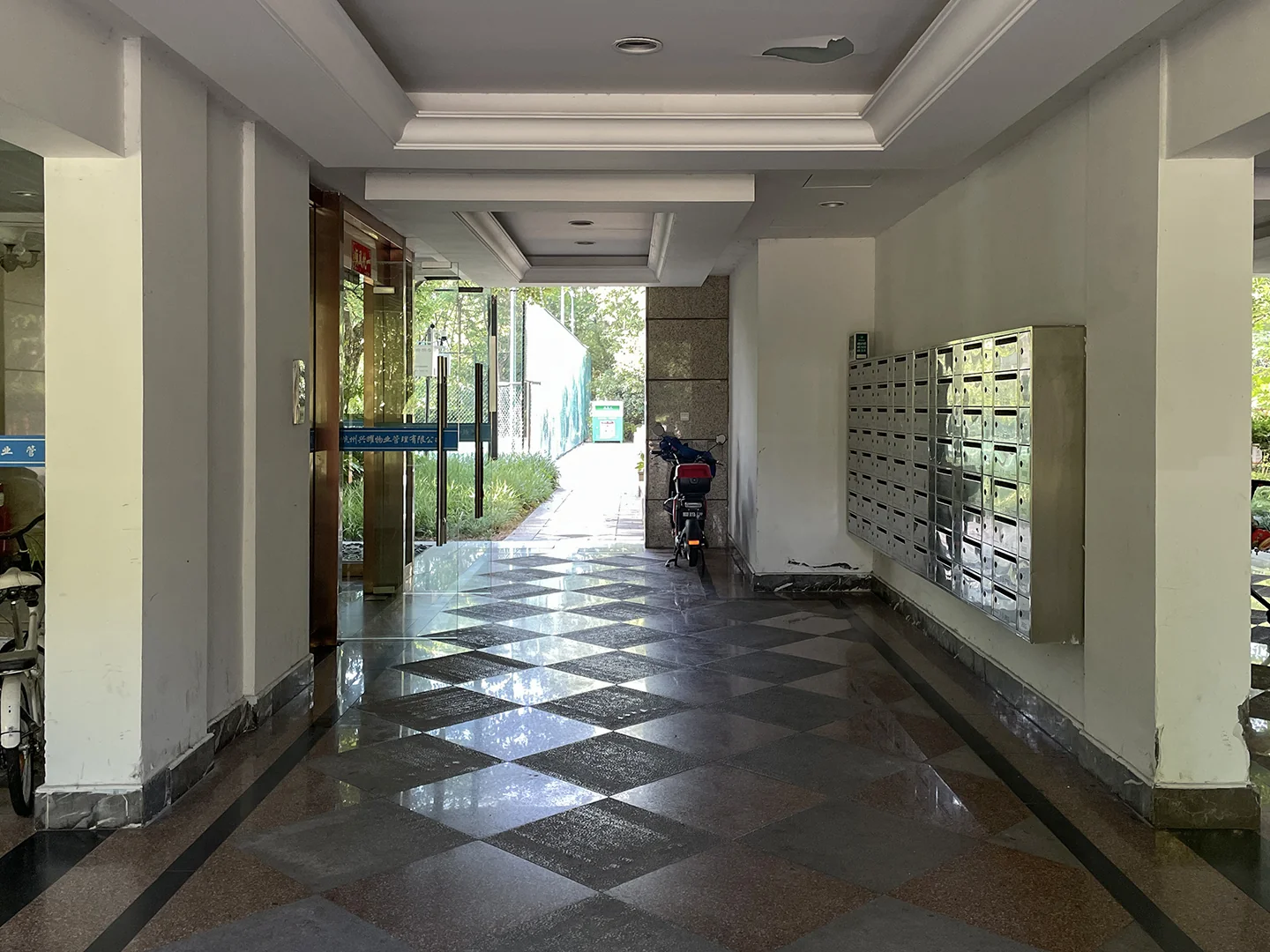 Lunar Glow Noble  - Photo 19