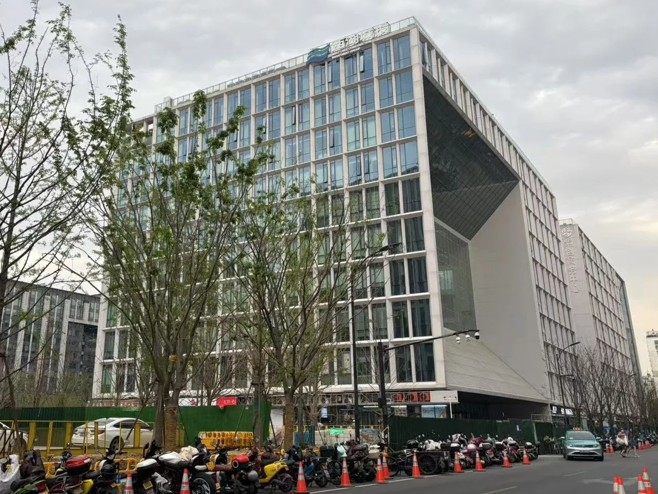 Redbud Radiance - Photo 4