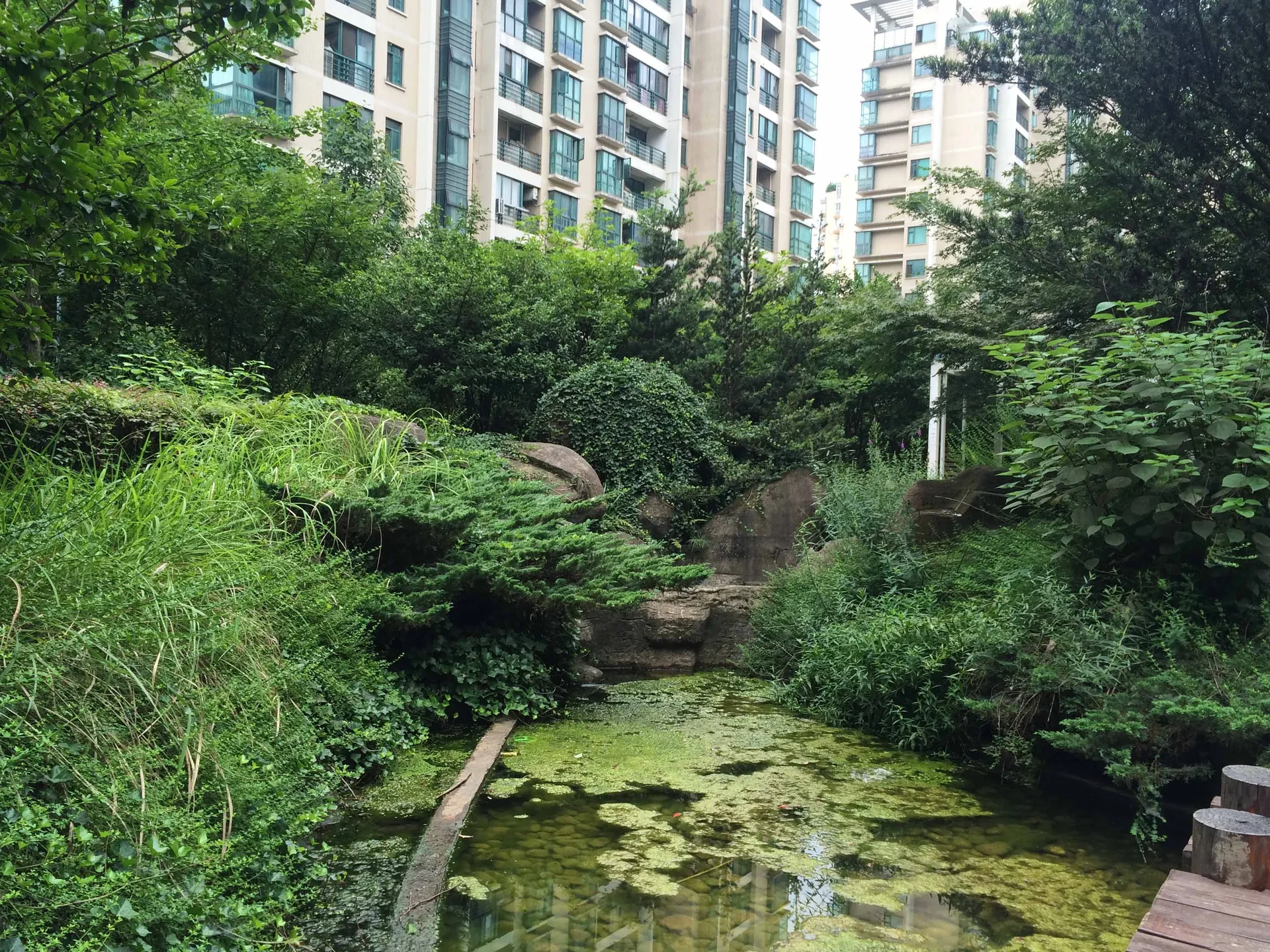 Qiantang Spring Dawn - Photo 9