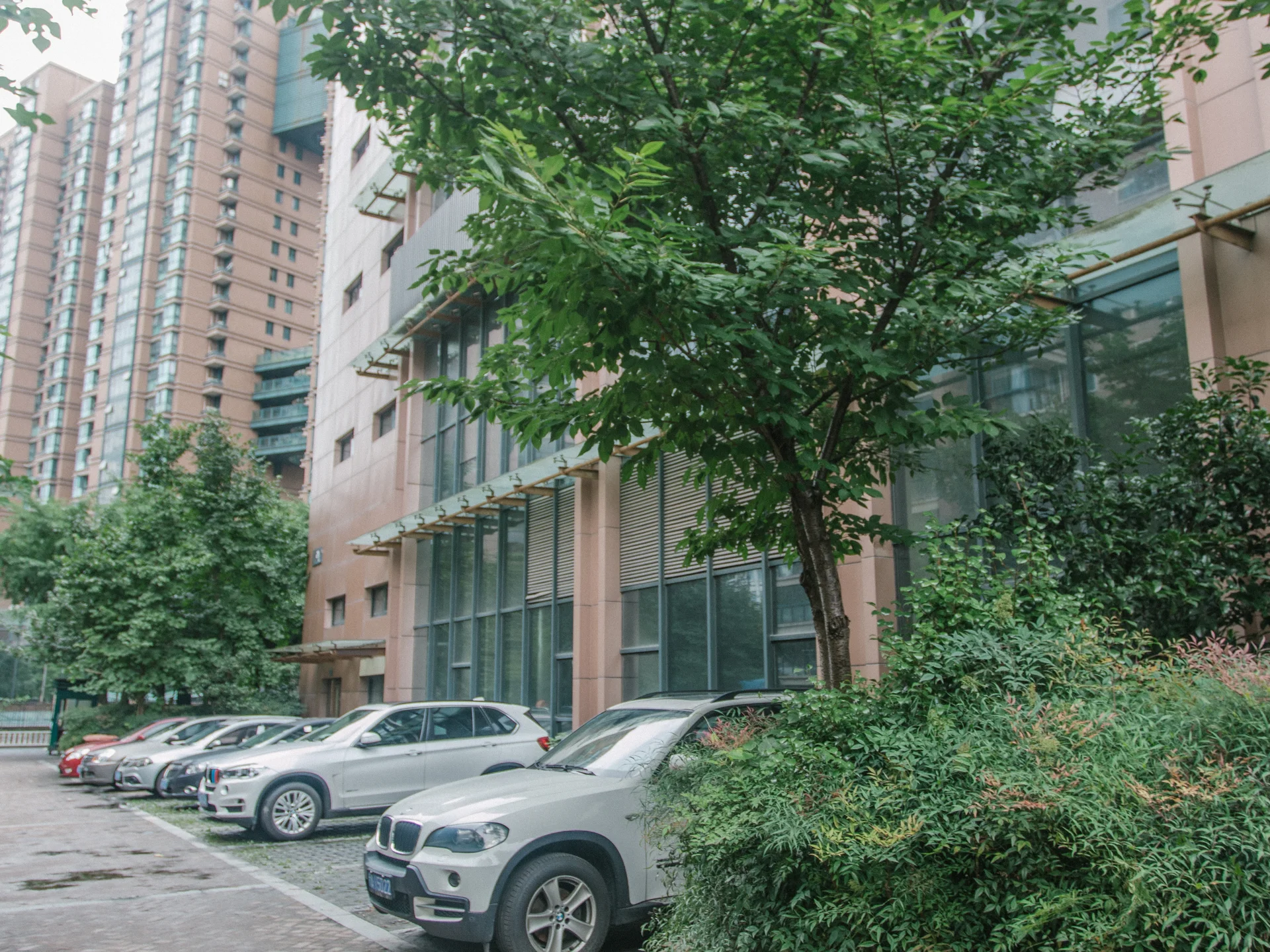 Lvzhou Gardon - Photo 17