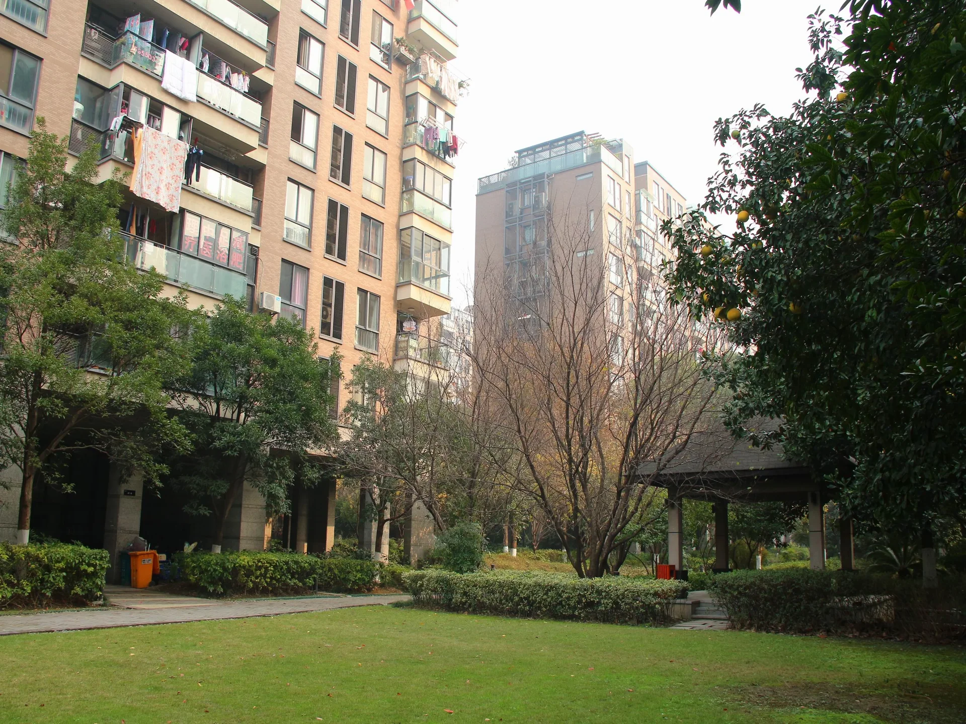 New Century City - Photo 24