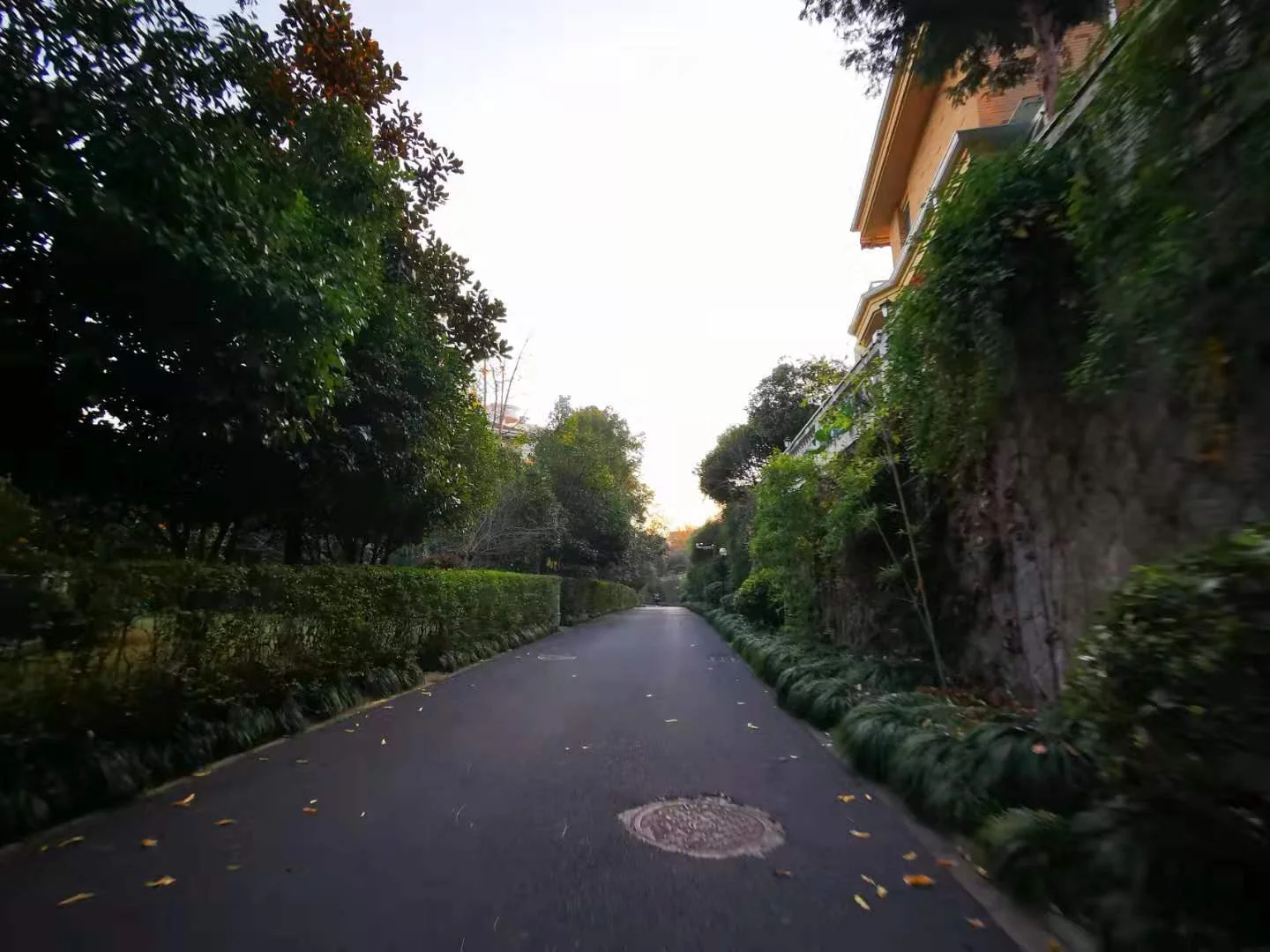 The Moon Bay - Photo 22