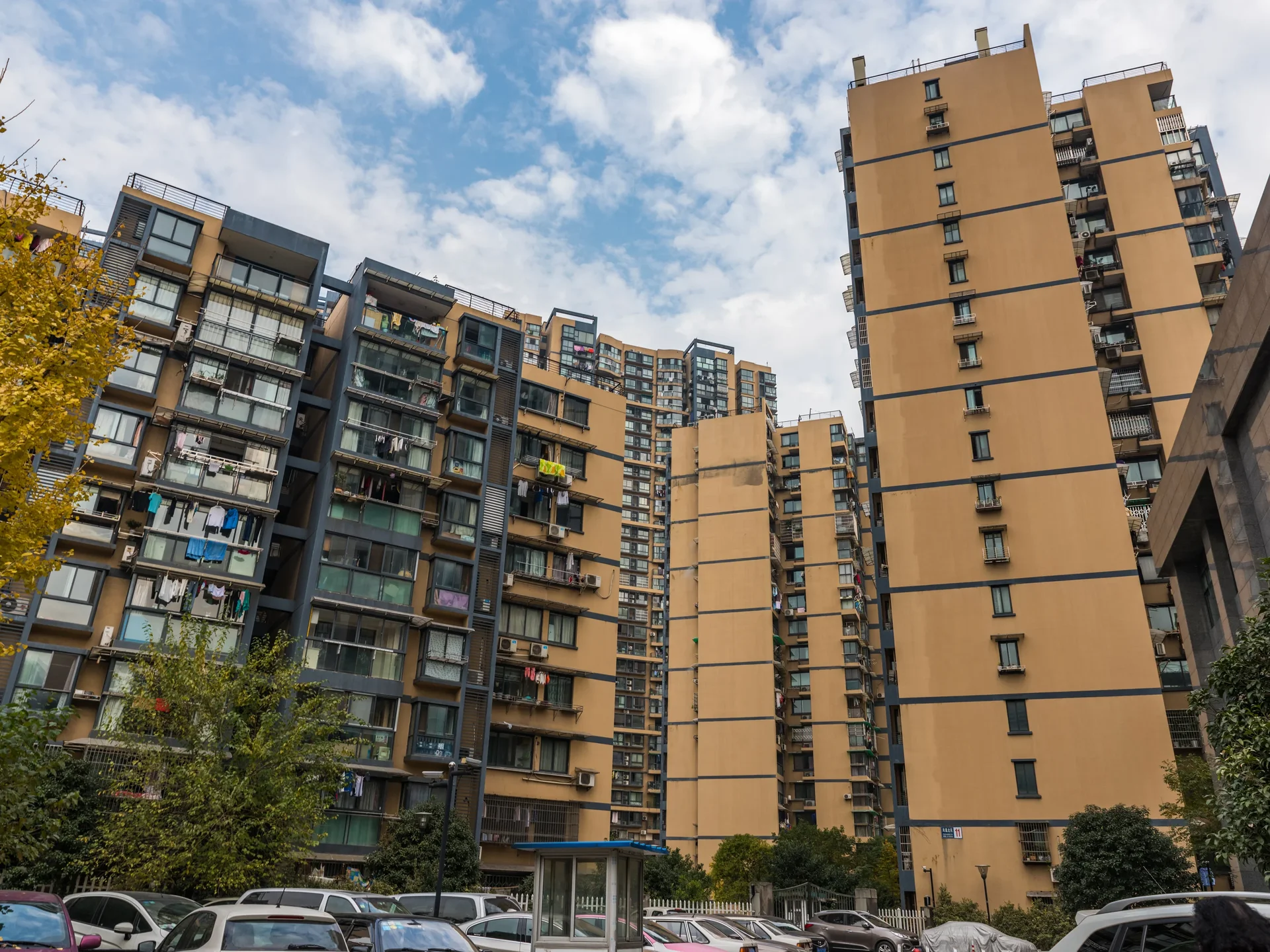 Phoenix North Garden - Photo 14