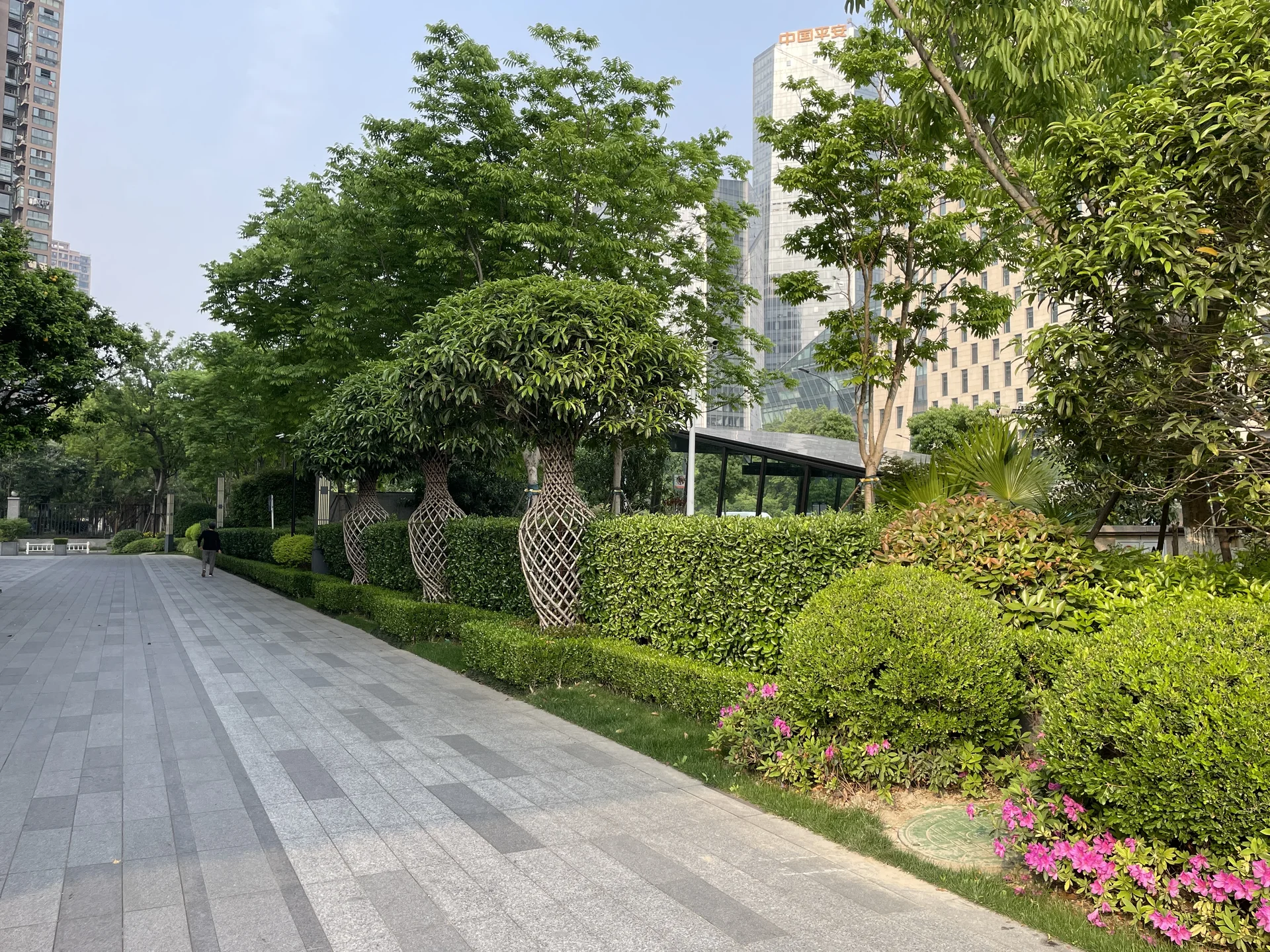 Star Tide Central - Photo 4