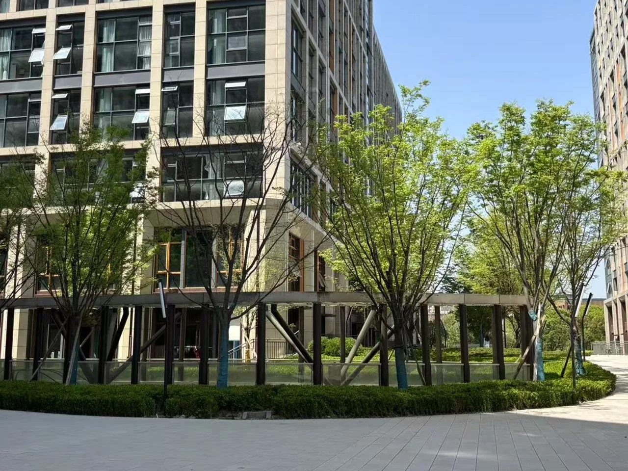 Xixi Noble Joy - Photo 6