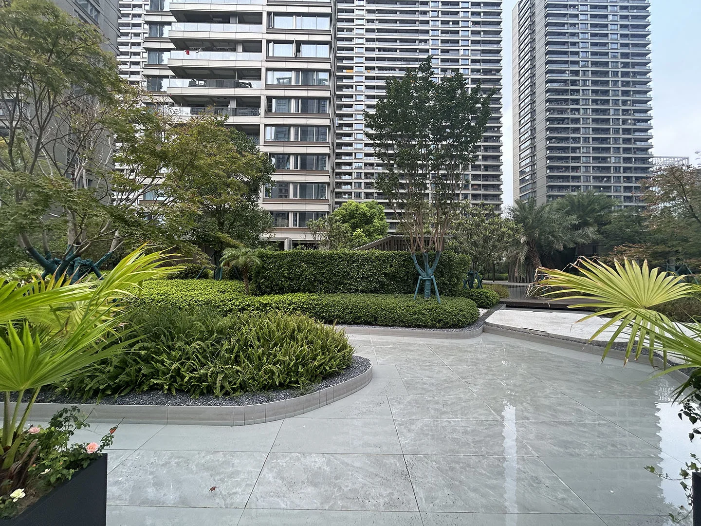 Poly Skyline Court - Photo 7