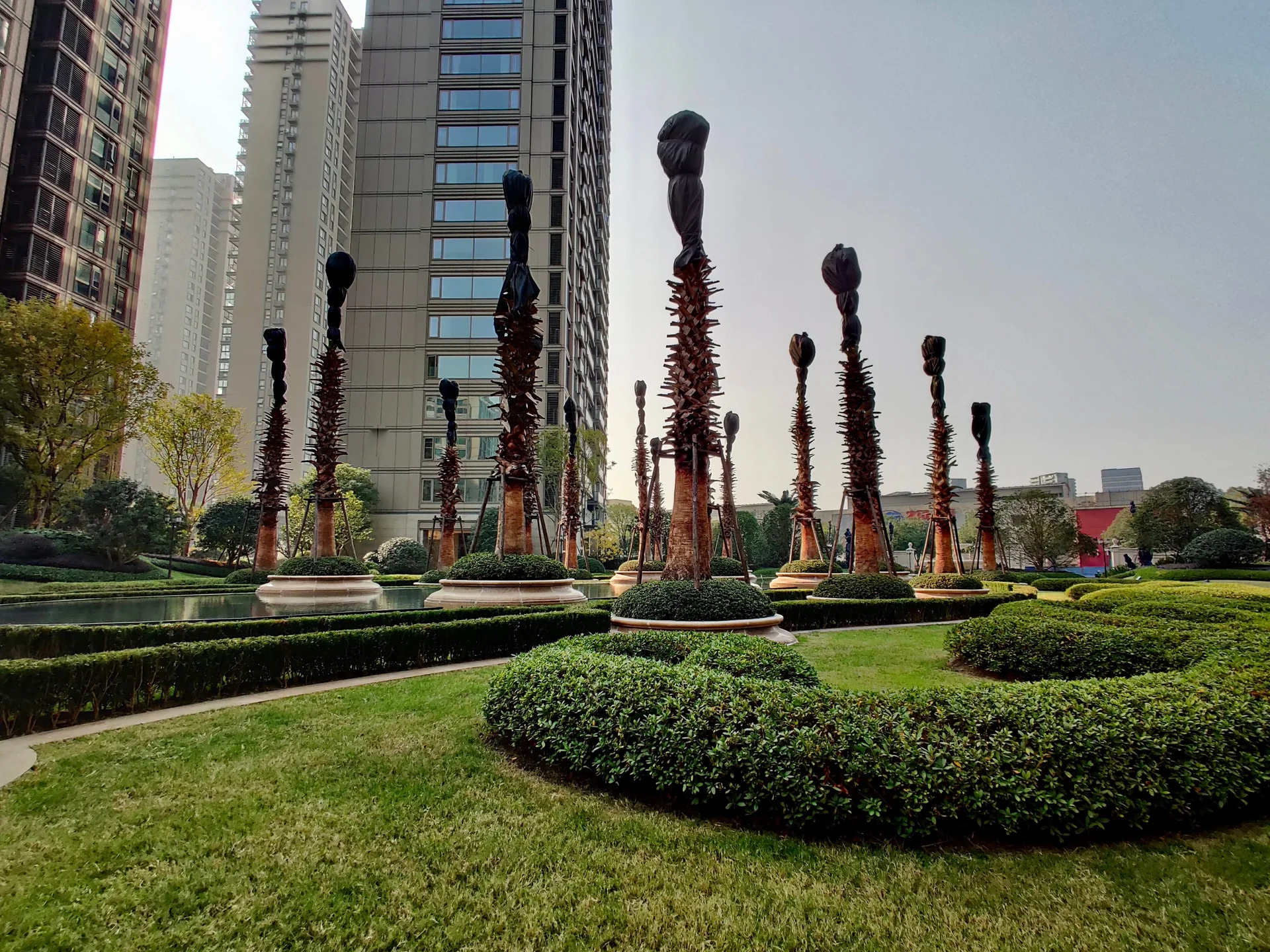 Splendid City - Photo 12