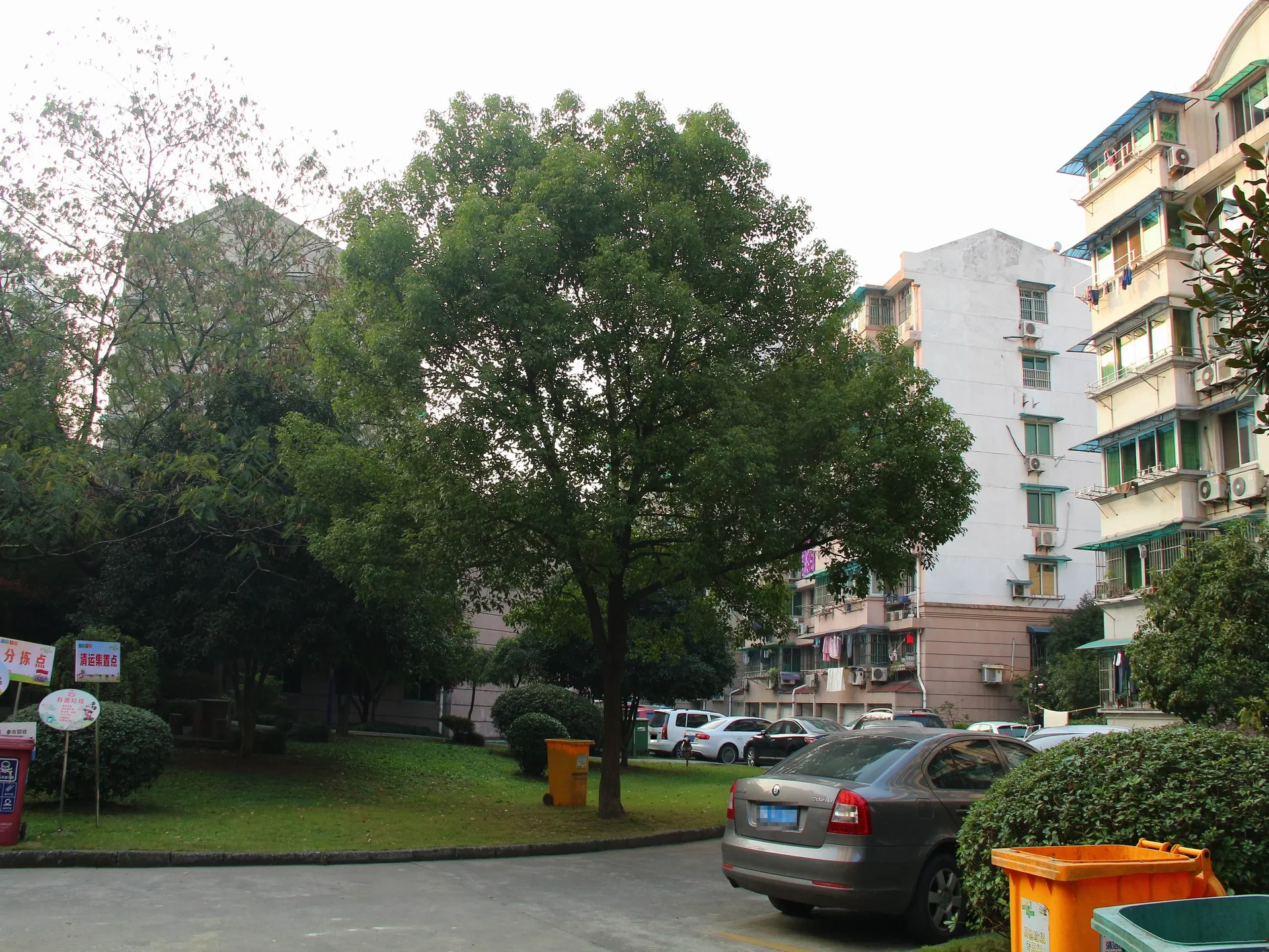 Jialv North - Photo 9