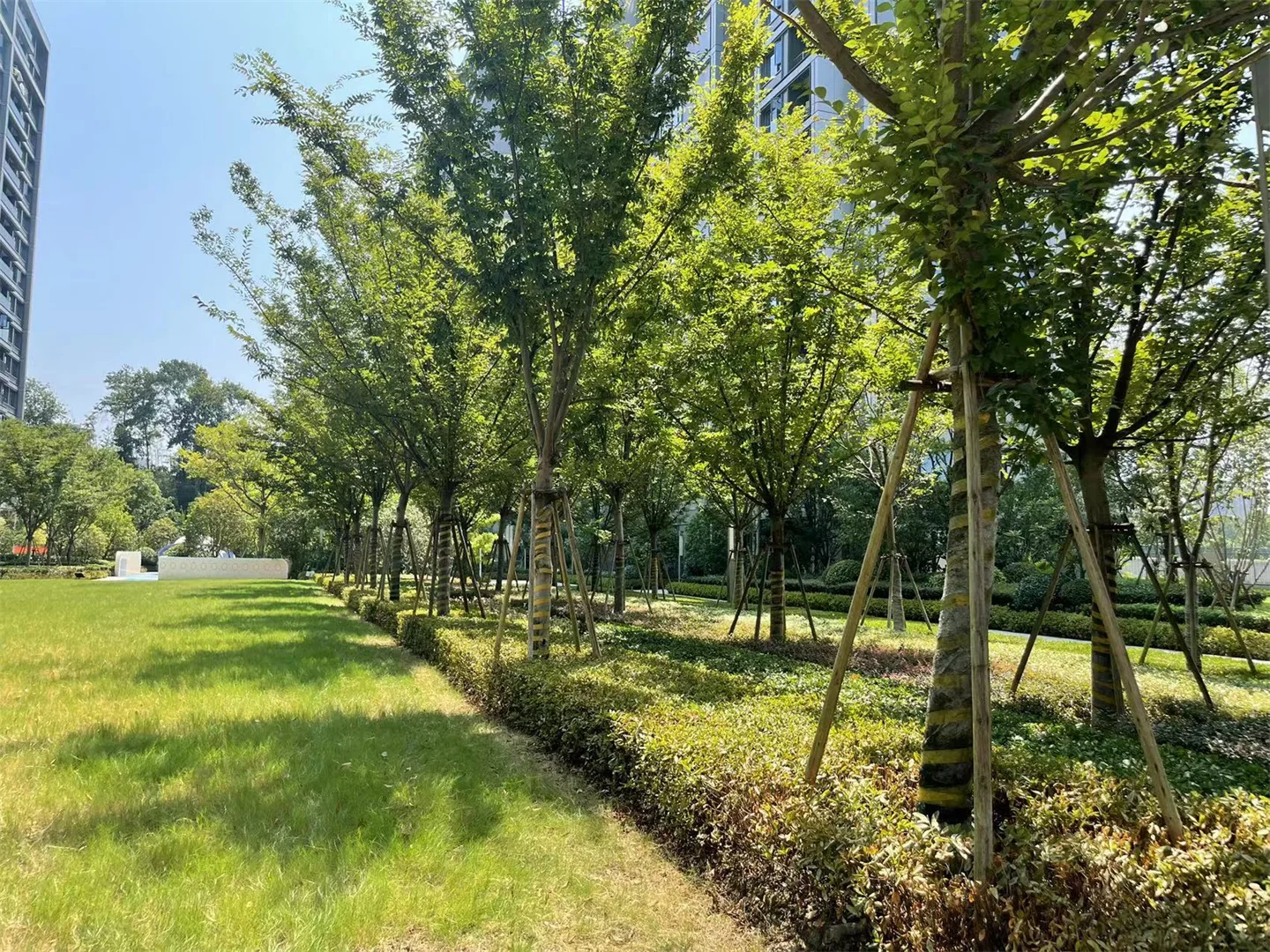 Phoenix Cloud Mansion - Photo 12