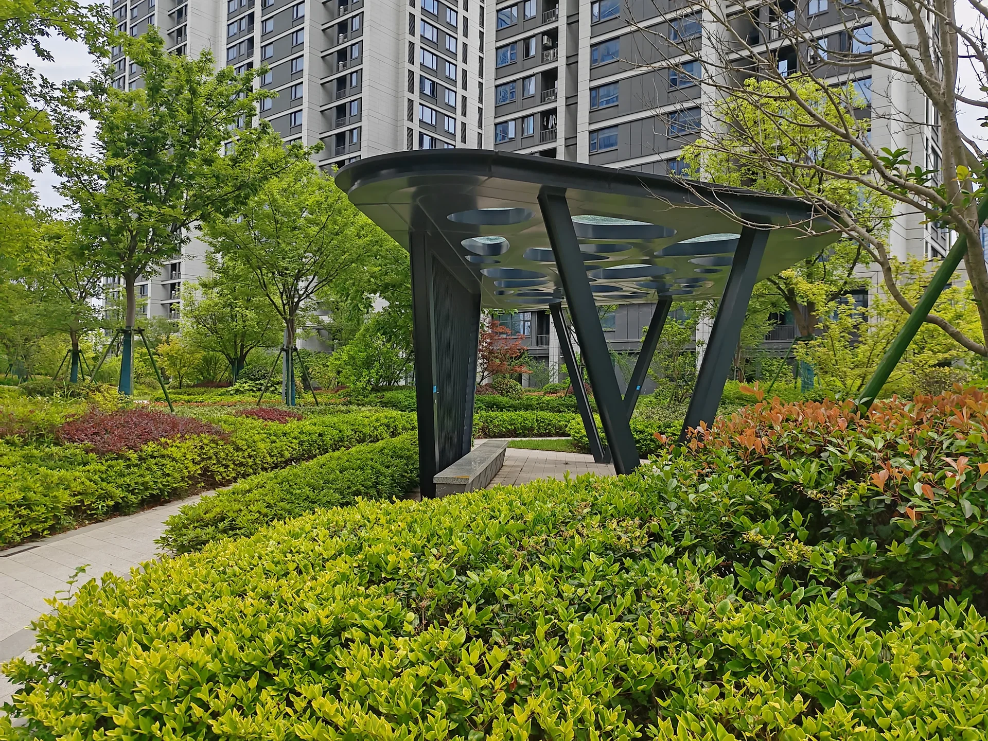 Thrive Manor - Photo 12