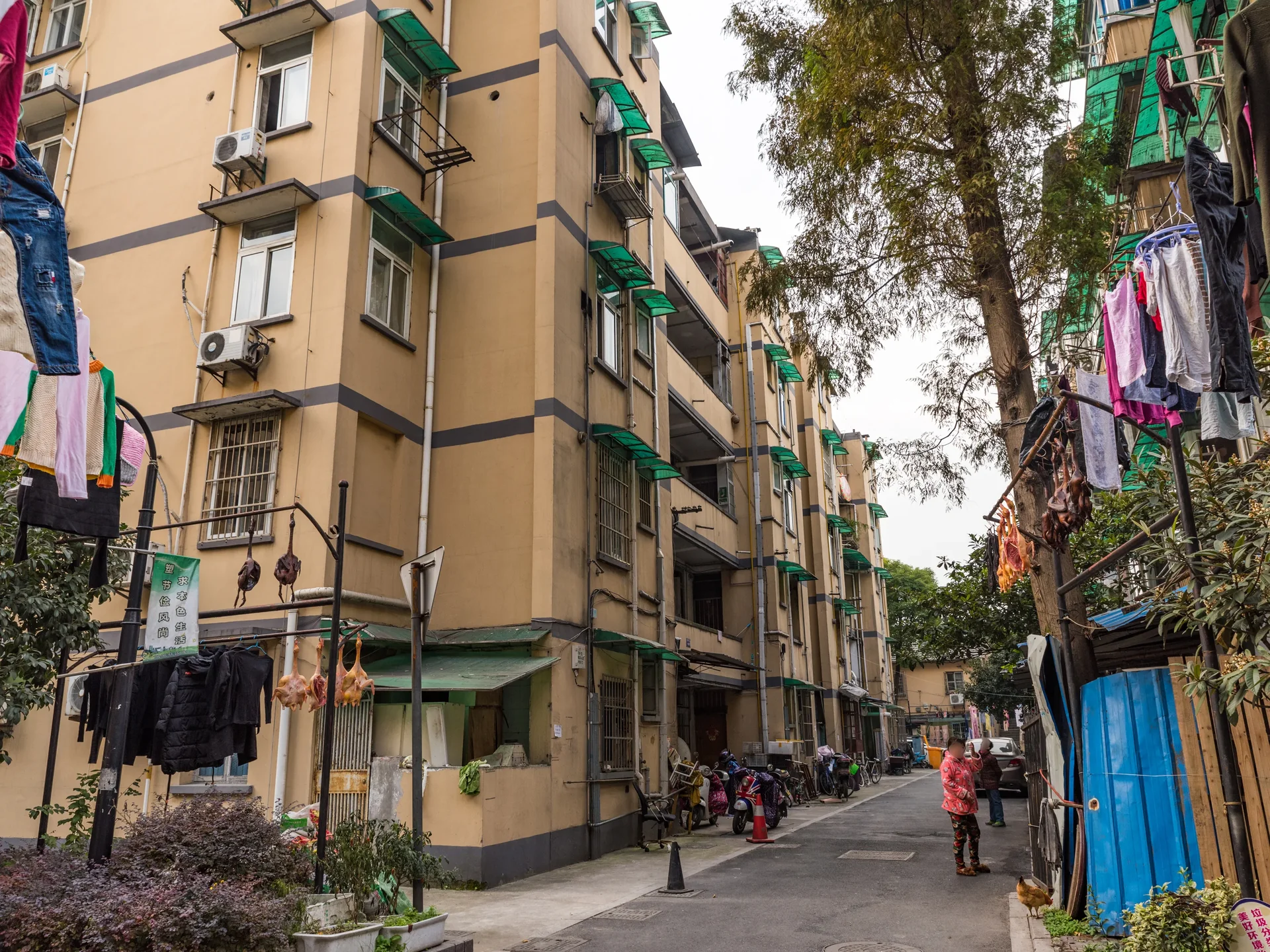 Mucai New Village - Photo 14